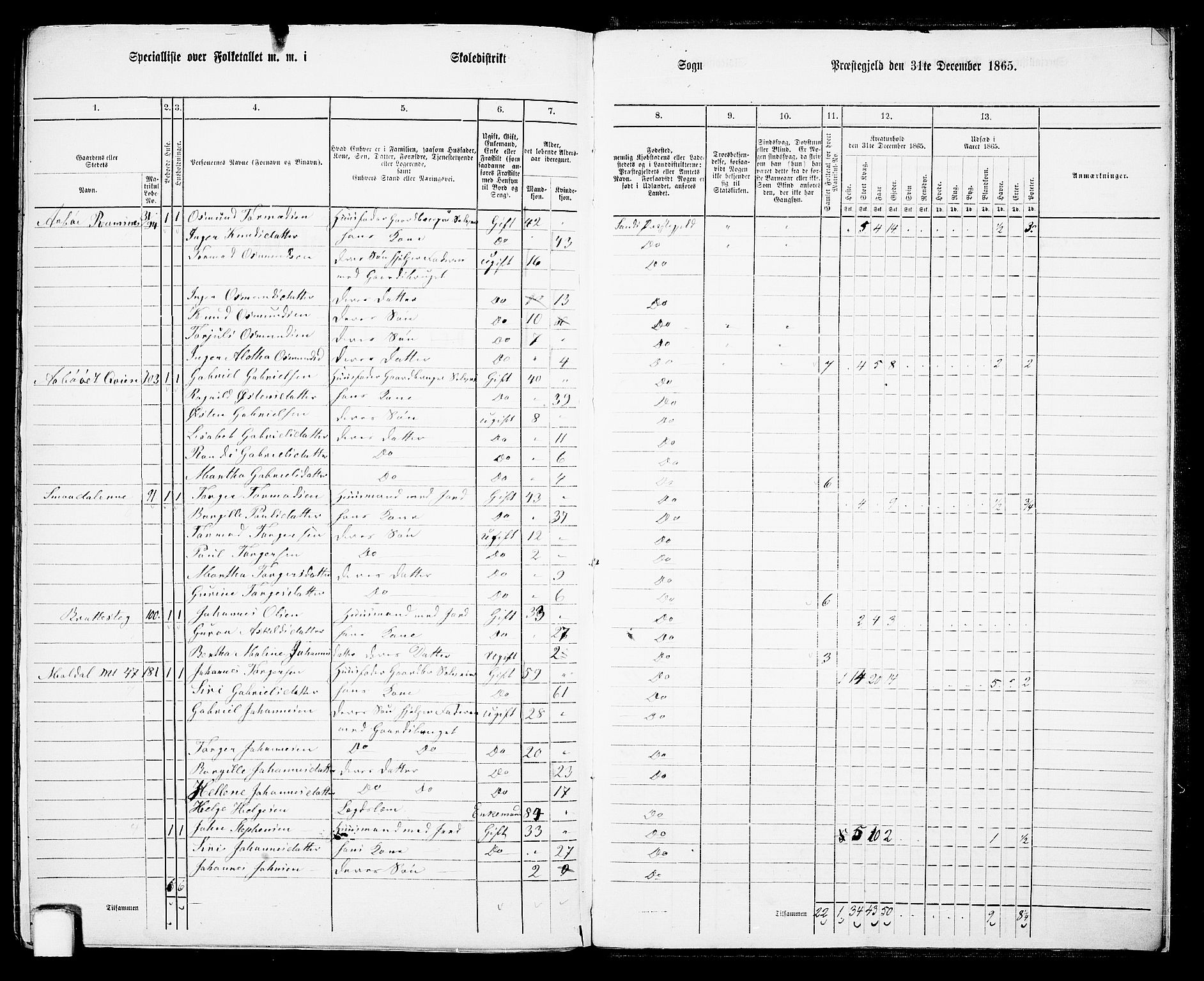 RA, 1865 census for Sand, 1865, p. 159