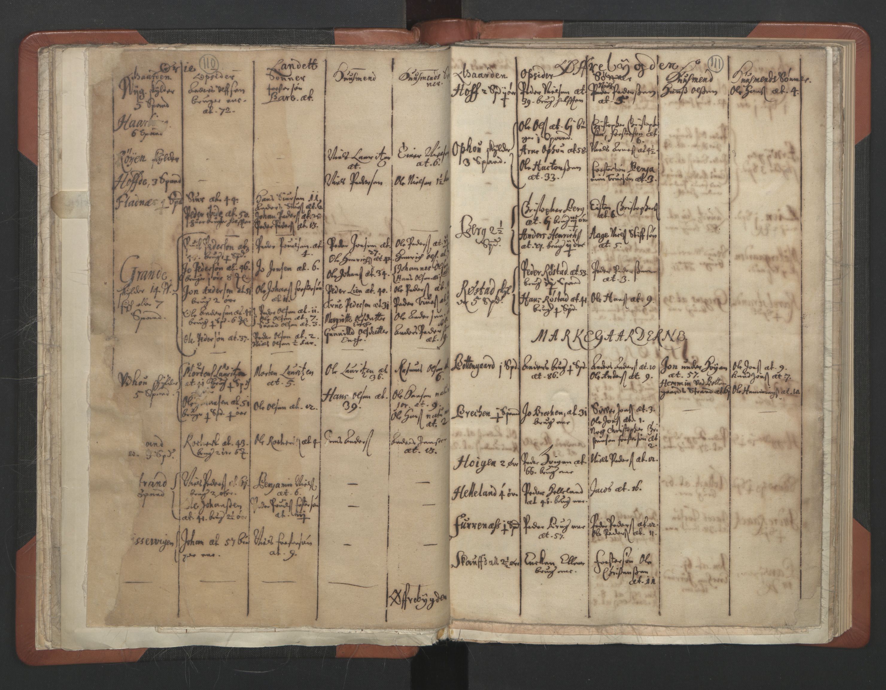 RA, Vicar's Census 1664-1666, no. 30: Fosen deanery, 1664-1666, p. 110-111