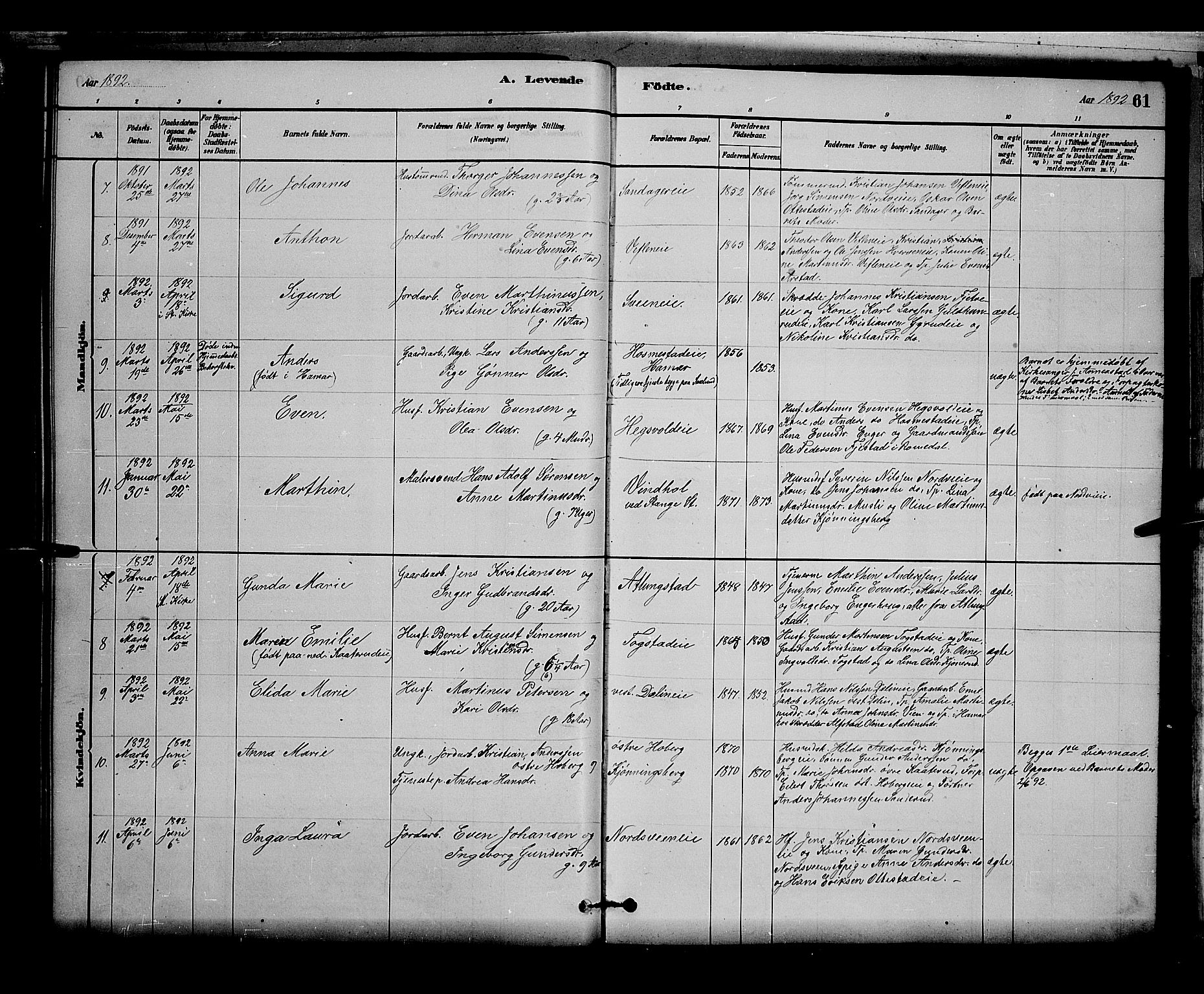 Stange prestekontor, AV/SAH-PREST-002/L/L0007: Parish register (copy) no. 7, 1880-1893, p. 61