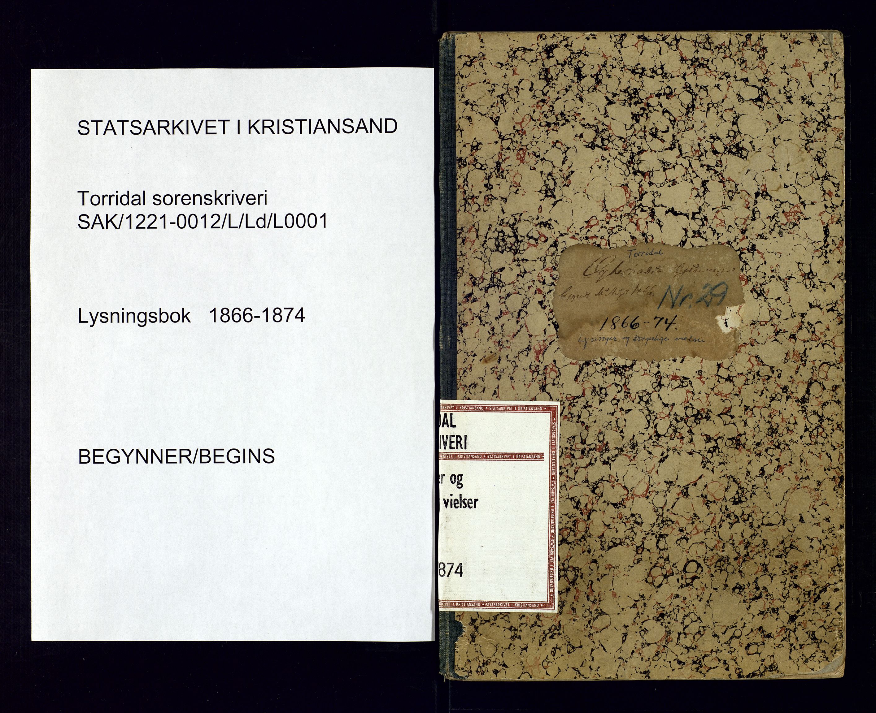 Torridal sorenskriveri, AV/SAK-1221-0012/L/Ld/L0001: Lysinger og borgerlig vigsel nr. 1, 1866-1874