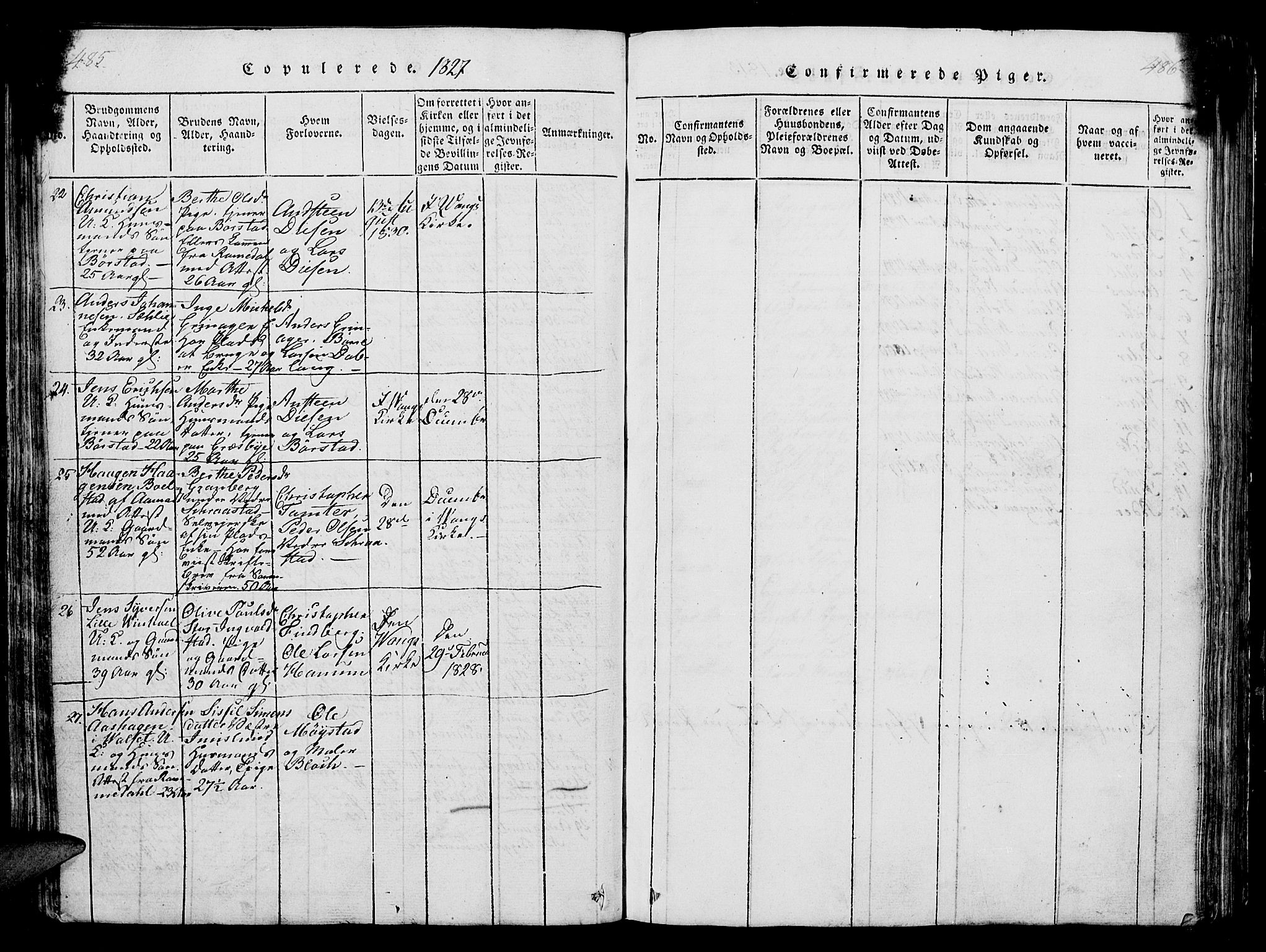 Vang prestekontor, Hedmark, AV/SAH-PREST-008/H/Ha/Hab/L0004: Parish register (copy) no. 4, 1813-1827, p. 485-486