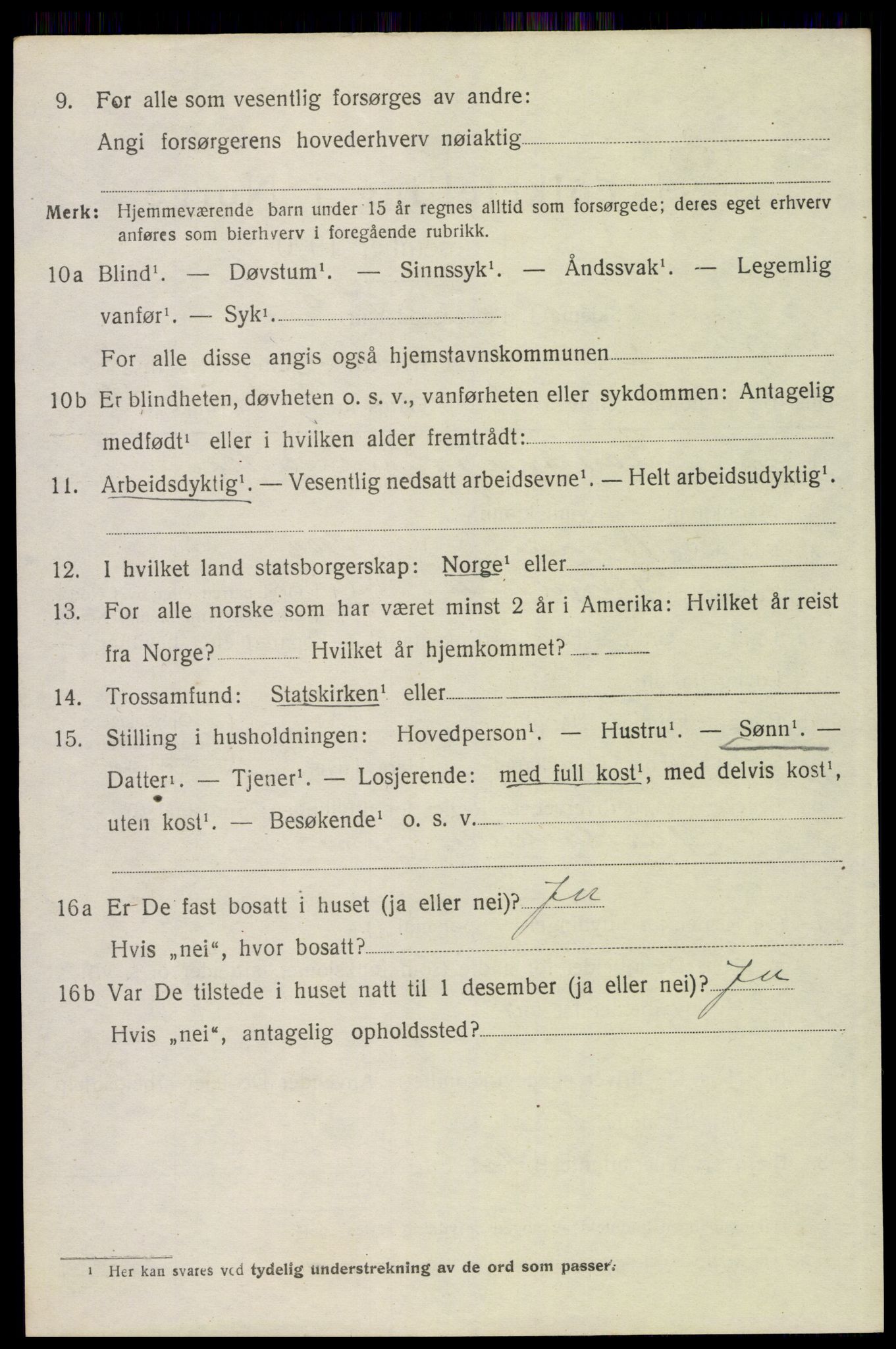 SAH, 1920 census for Trysil, 1920, p. 13022