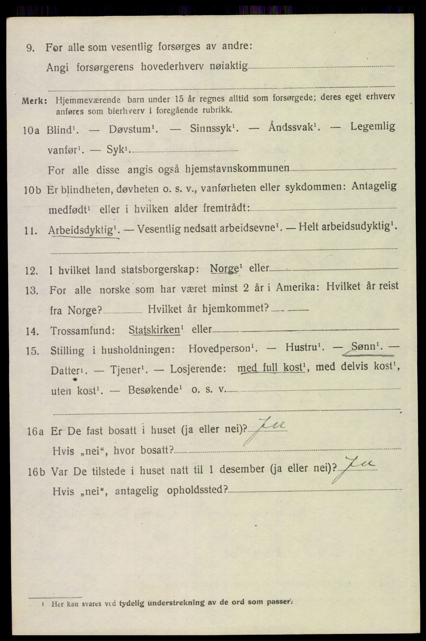 SAH, 1920 census for Trysil, 1920, p. 13022