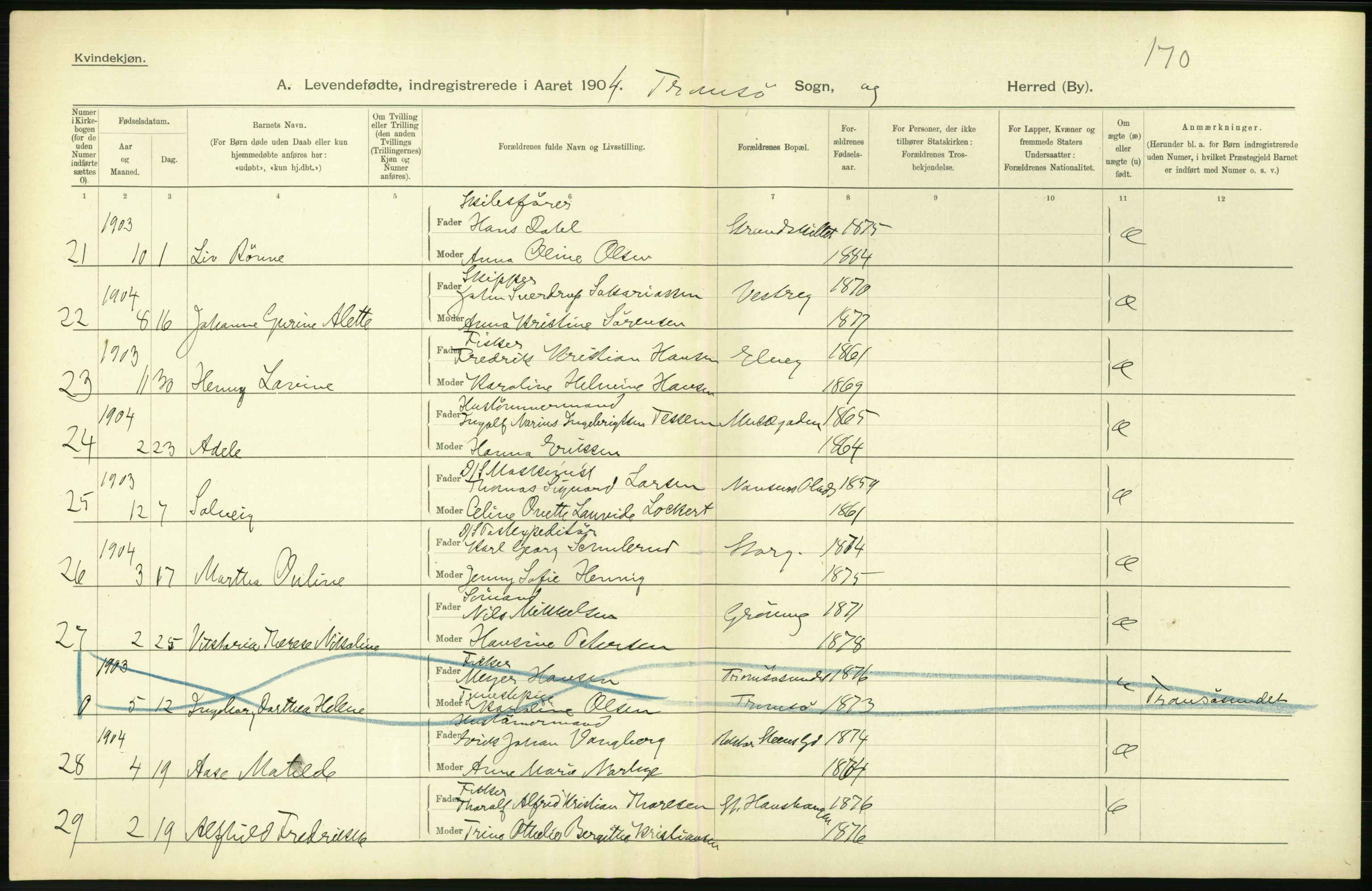 Statistisk sentralbyrå, Sosiodemografiske emner, Befolkning, AV/RA-S-2228/D/Df/Dfa/Dfab/L0022: Tromsø amt: Fødte, gifte, døde, 1904, p. 266