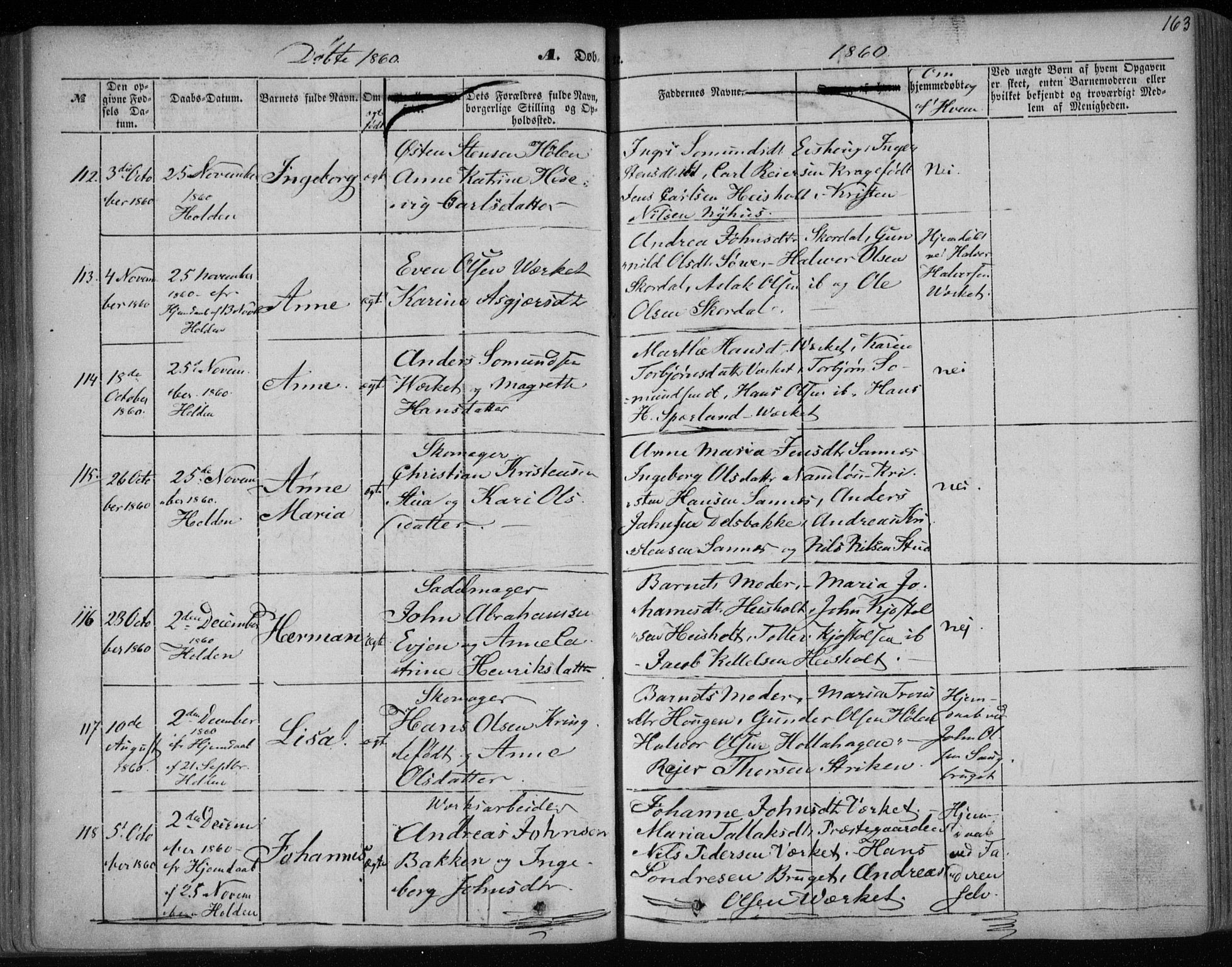 Holla kirkebøker, AV/SAKO-A-272/F/Fa/L0005: Parish register (official) no. 5, 1849-1860, p. 163