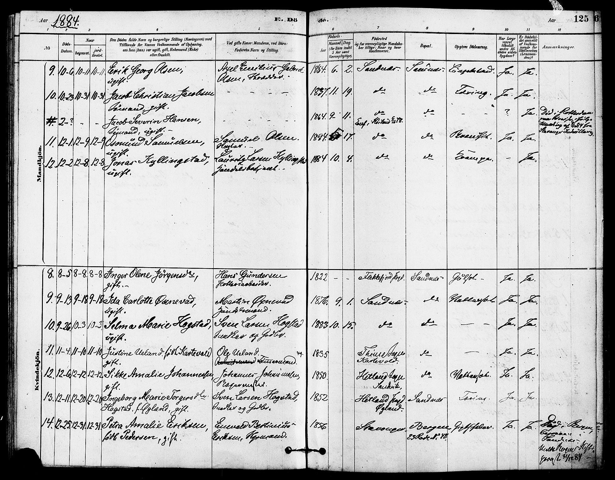 Høyland sokneprestkontor, AV/SAST-A-101799/001/30BA/L0012: Parish register (official) no. A 11, 1878-1889, p. 125