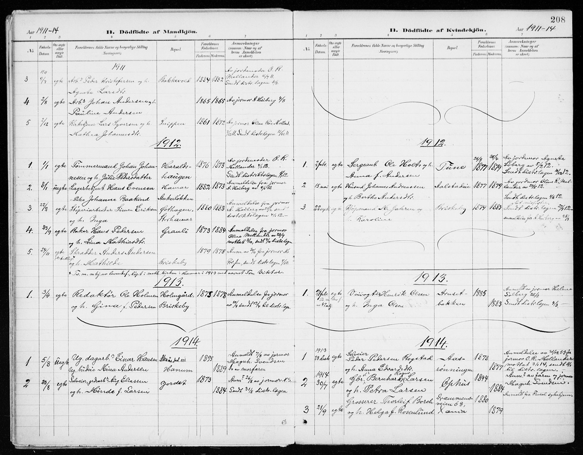 Vang prestekontor, Hedmark, SAH/PREST-008/H/Ha/Haa/L0021: Parish register (official) no. 21, 1902-1917, p. 208