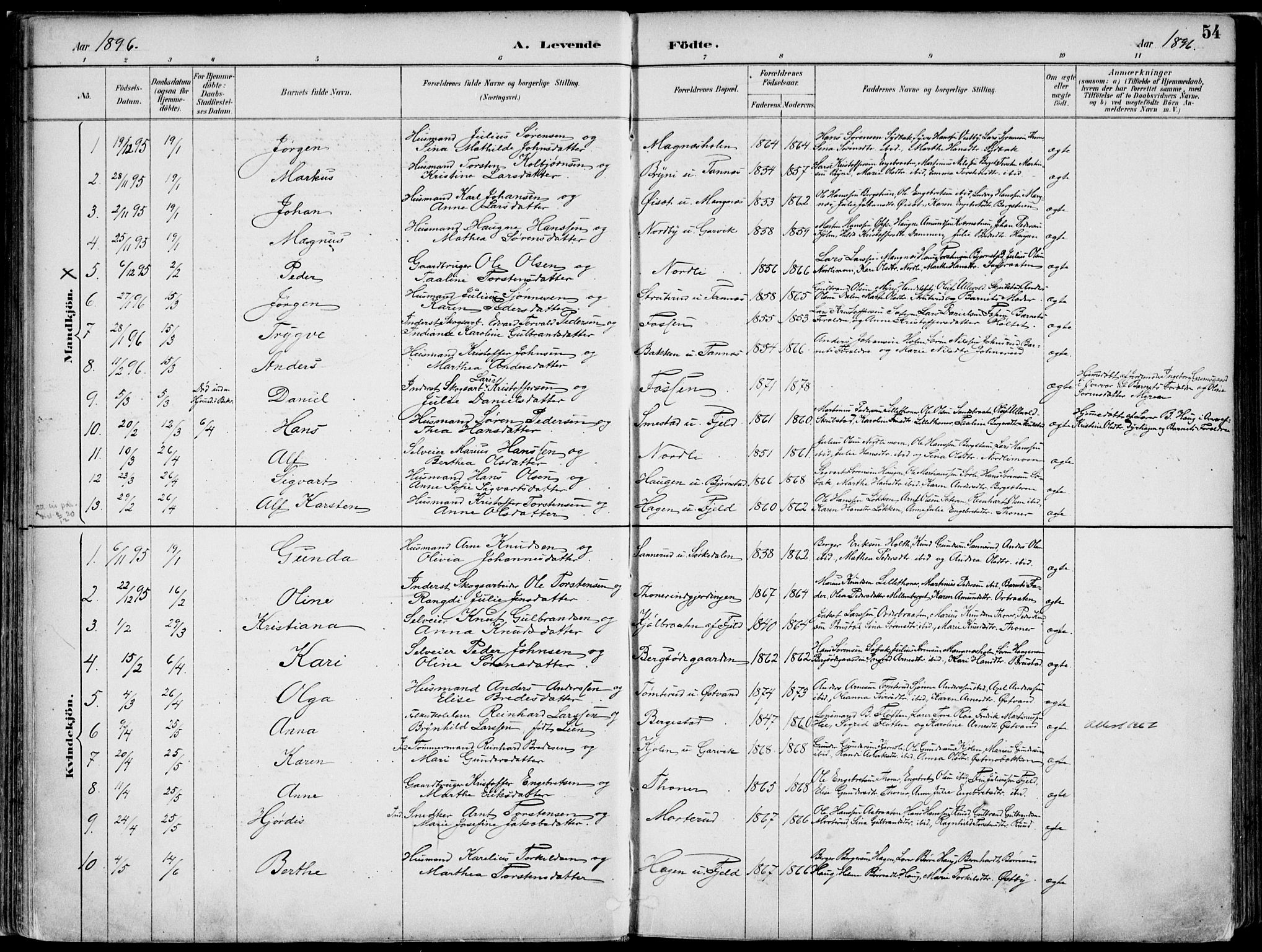 Nord-Odal prestekontor, AV/SAH-PREST-032/H/Ha/Haa/L0008: Parish register (official) no. 8, 1886-1901, p. 54