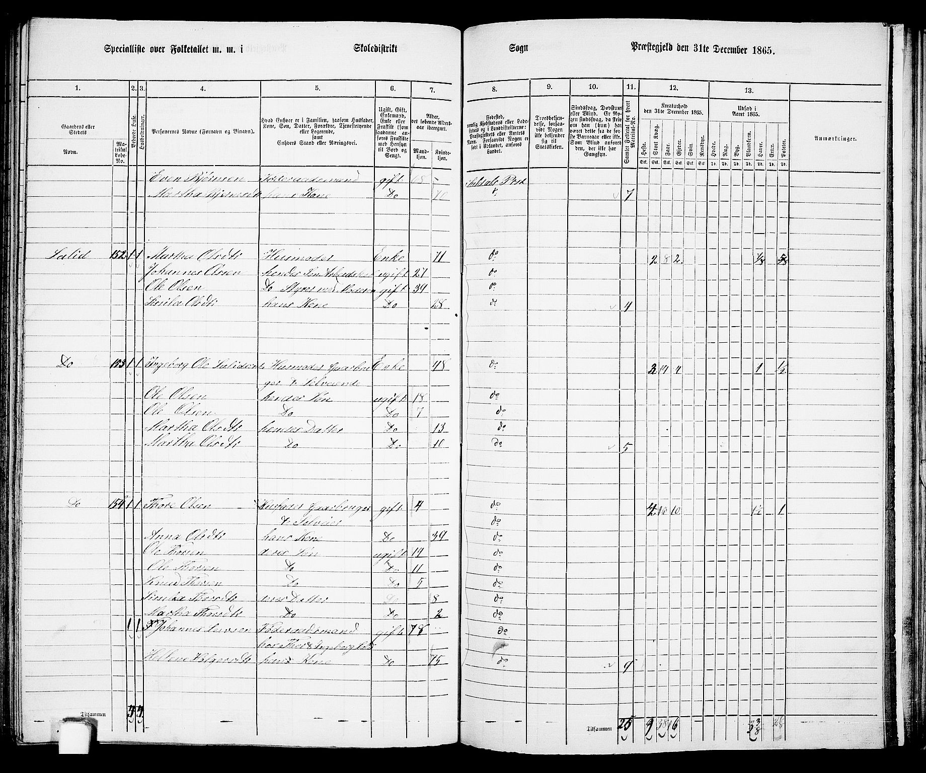 RA, 1865 census for Suldal, 1865, p. 95