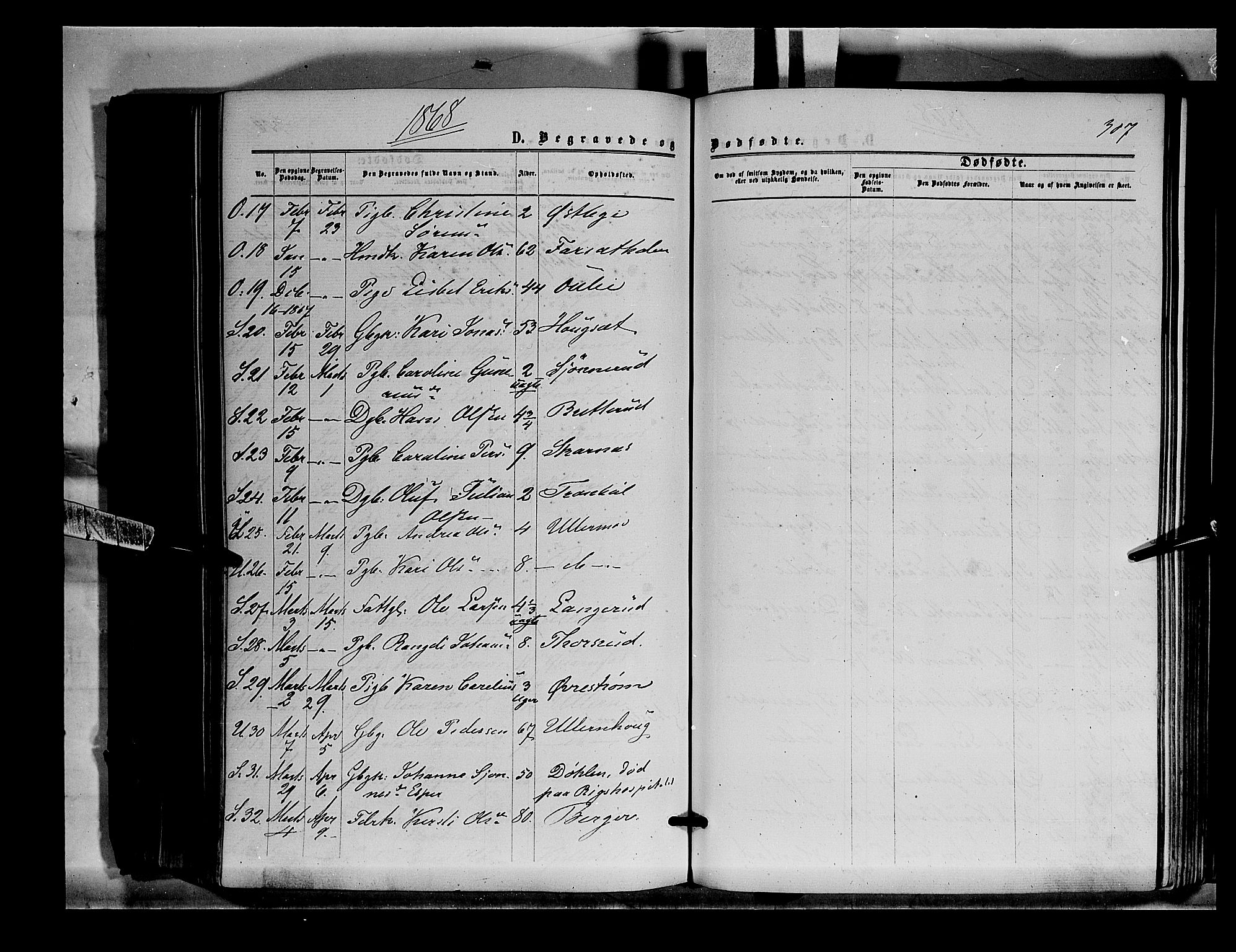 Sør-Odal prestekontor, SAH/PREST-030/H/Ha/Haa/L0003: Parish register (official) no. 3, 1864-1870, p. 307