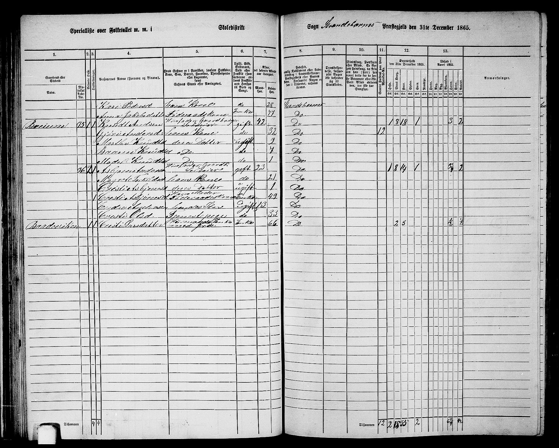 RA, 1865 census for Strandebarm, 1865, p. 46