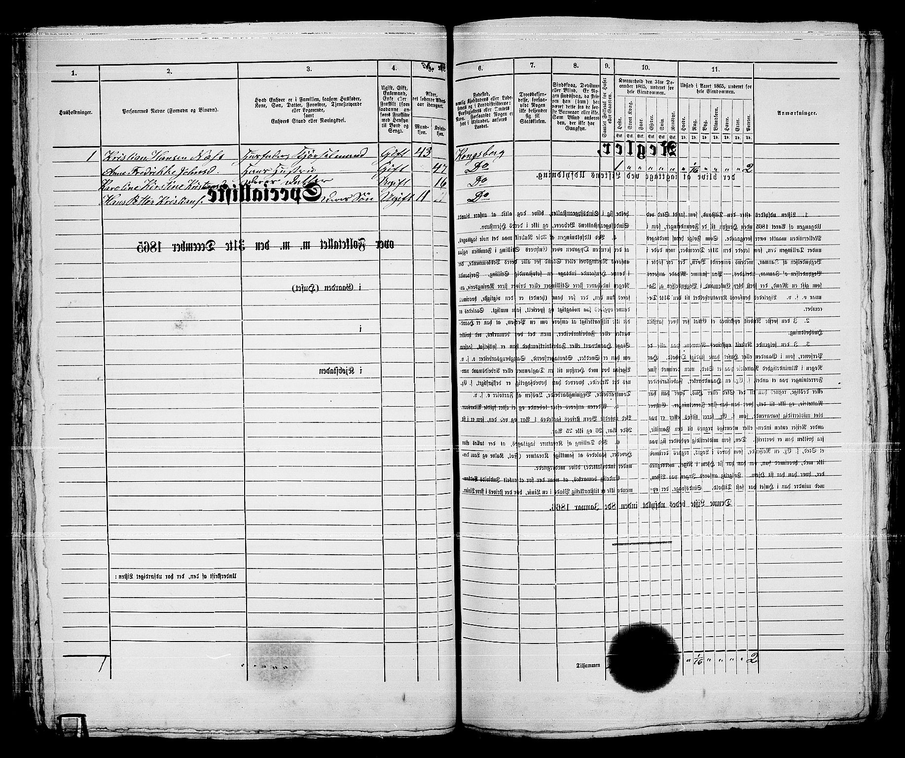 RA, 1865 census for Kongsberg/Kongsberg, 1865, p. 1101