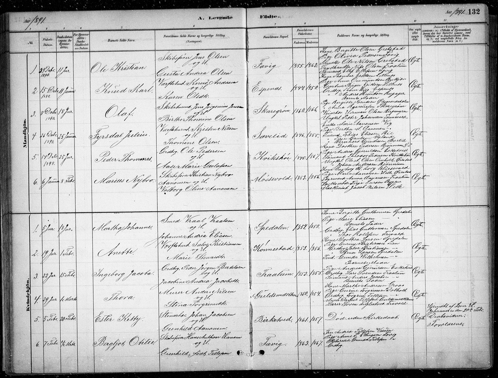 Fjære sokneprestkontor, SAK/1111-0011/F/Fb/L0011: Parish register (copy) no. B 11, 1881-1905, p. 132