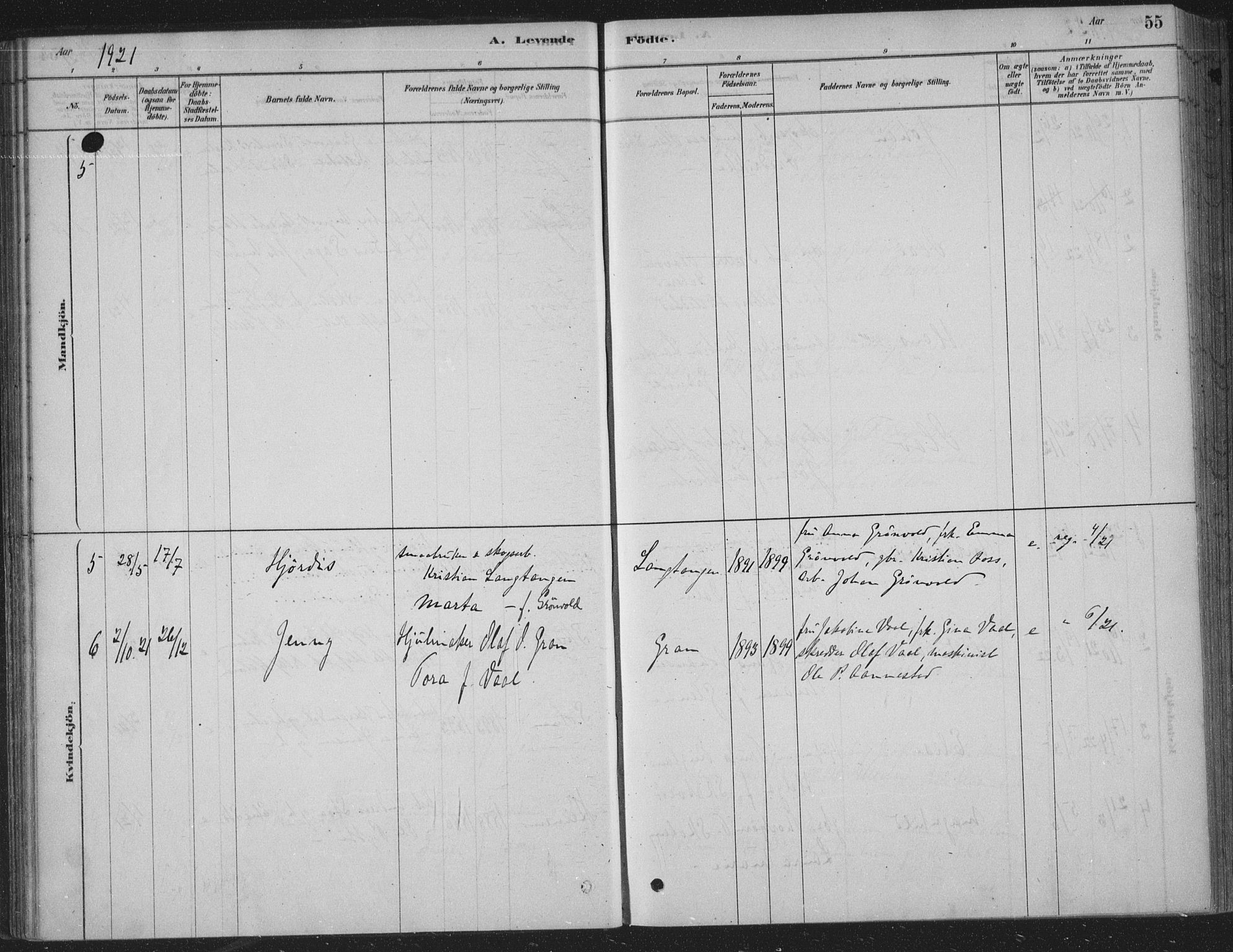 Sandsvær kirkebøker, AV/SAKO-A-244/F/Fe/L0001: Parish register (official) no. V 1, 1878-1936, p. 55