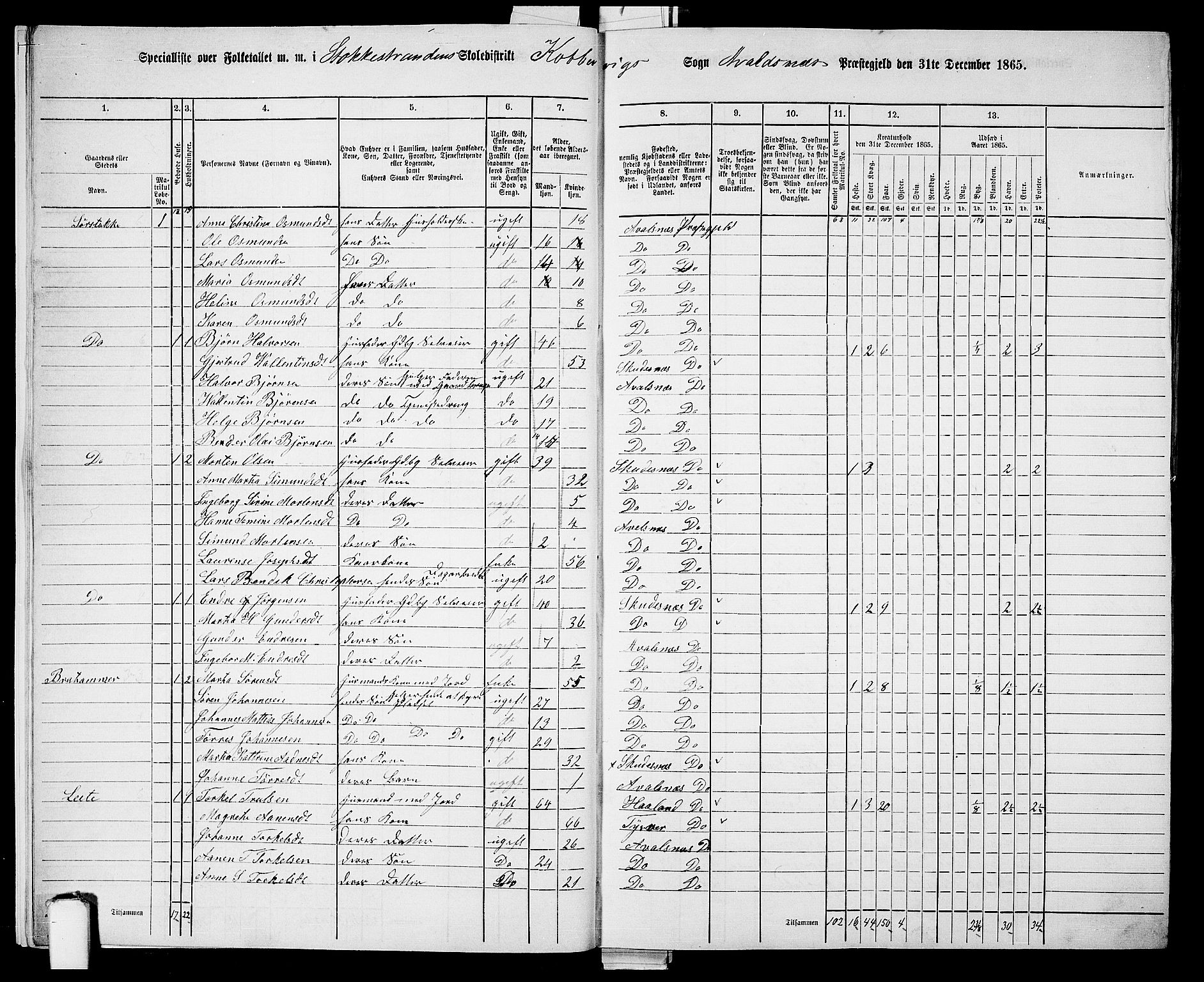 RA, 1865 census for Avaldsnes, 1865, p. 13