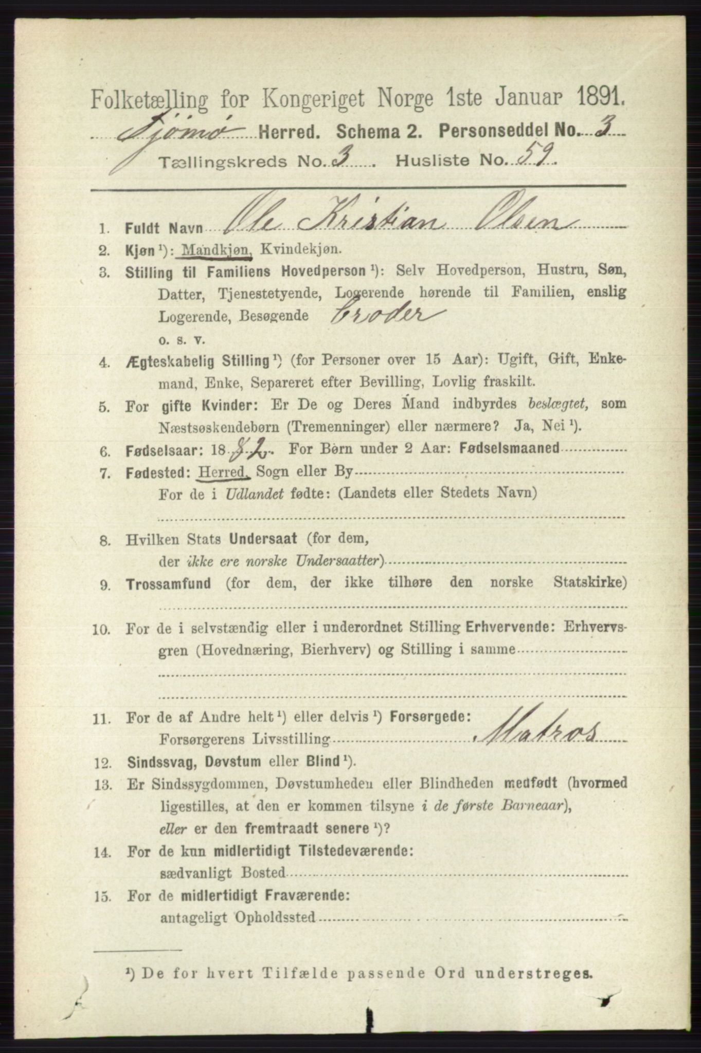 RA, 1891 census for 0723 Tjøme, 1891, p. 1206