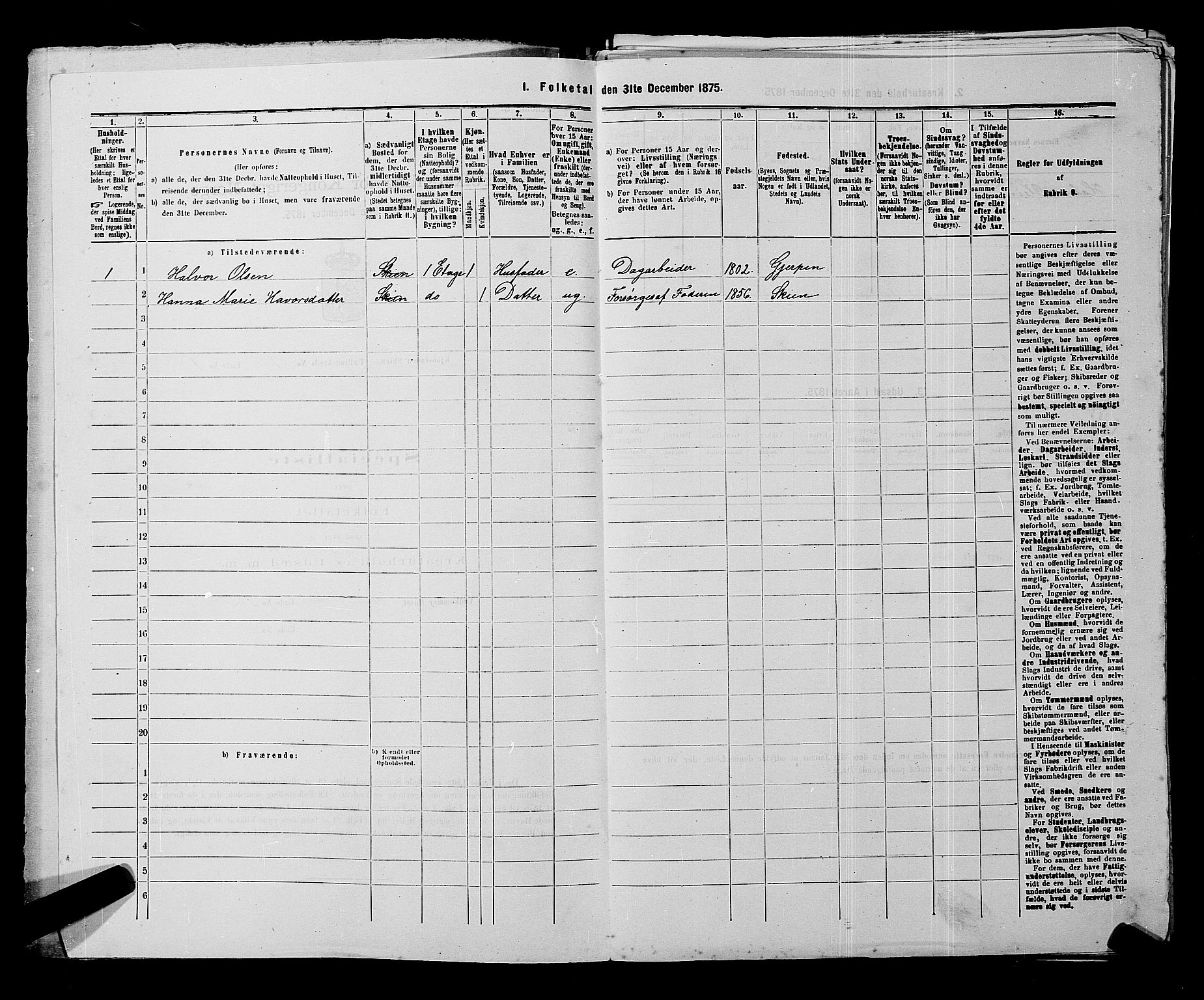 SAKO, 1875 census for 0806P Skien, 1875, p. 965