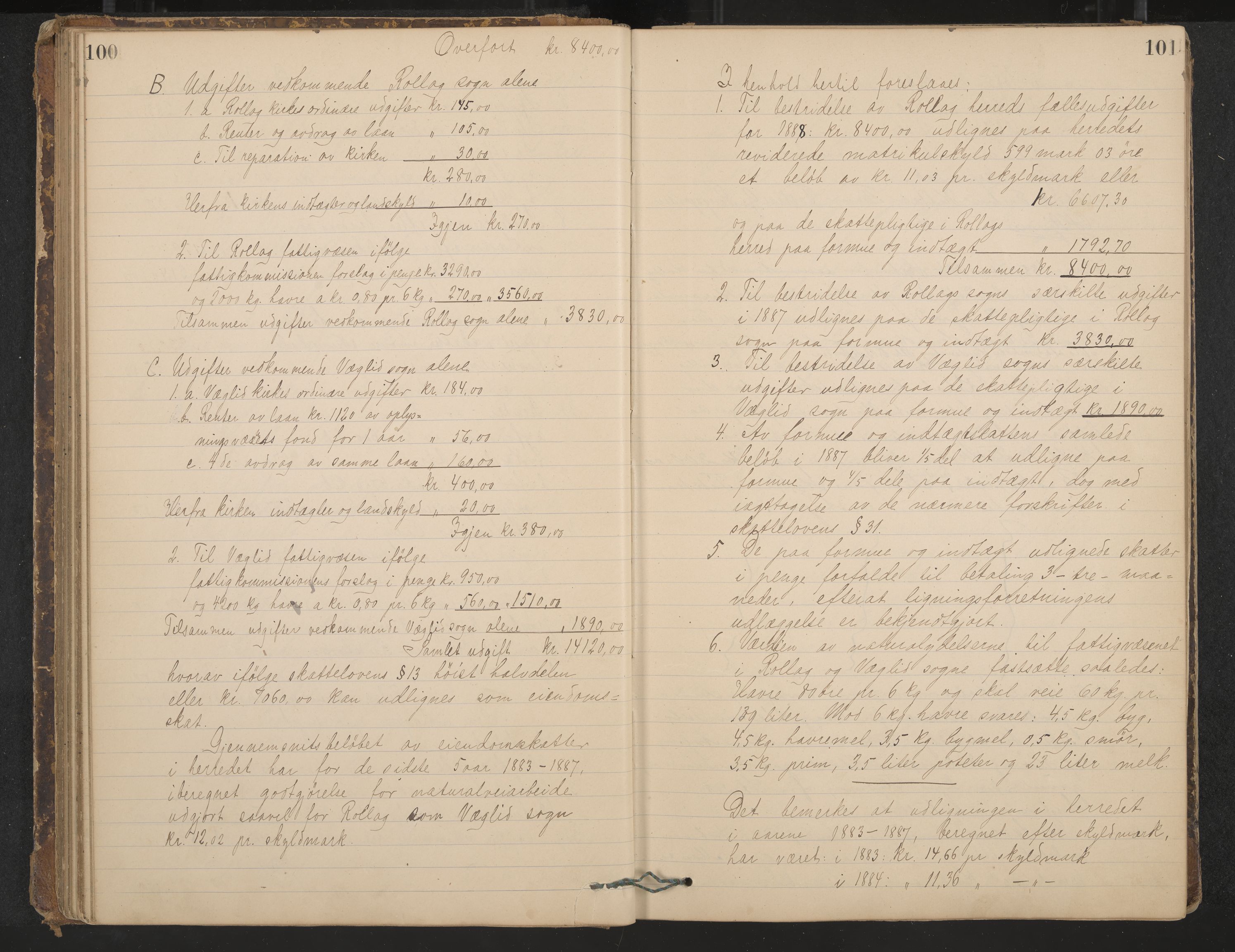 Rollag formannskap og sentraladministrasjon, IKAK/0632021-2/A/Aa/L0003: Møtebok, 1884-1897, p. 100-101