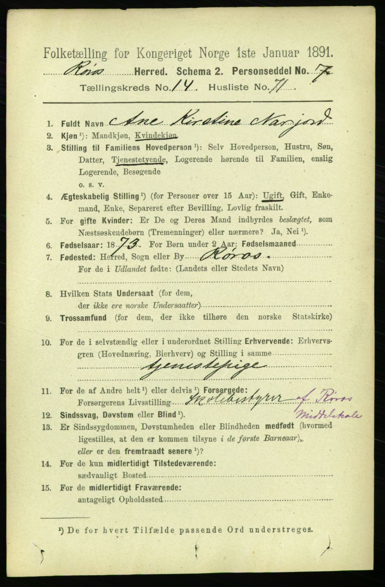 RA, 1891 census for 1640 Røros, 1891, p. 3251