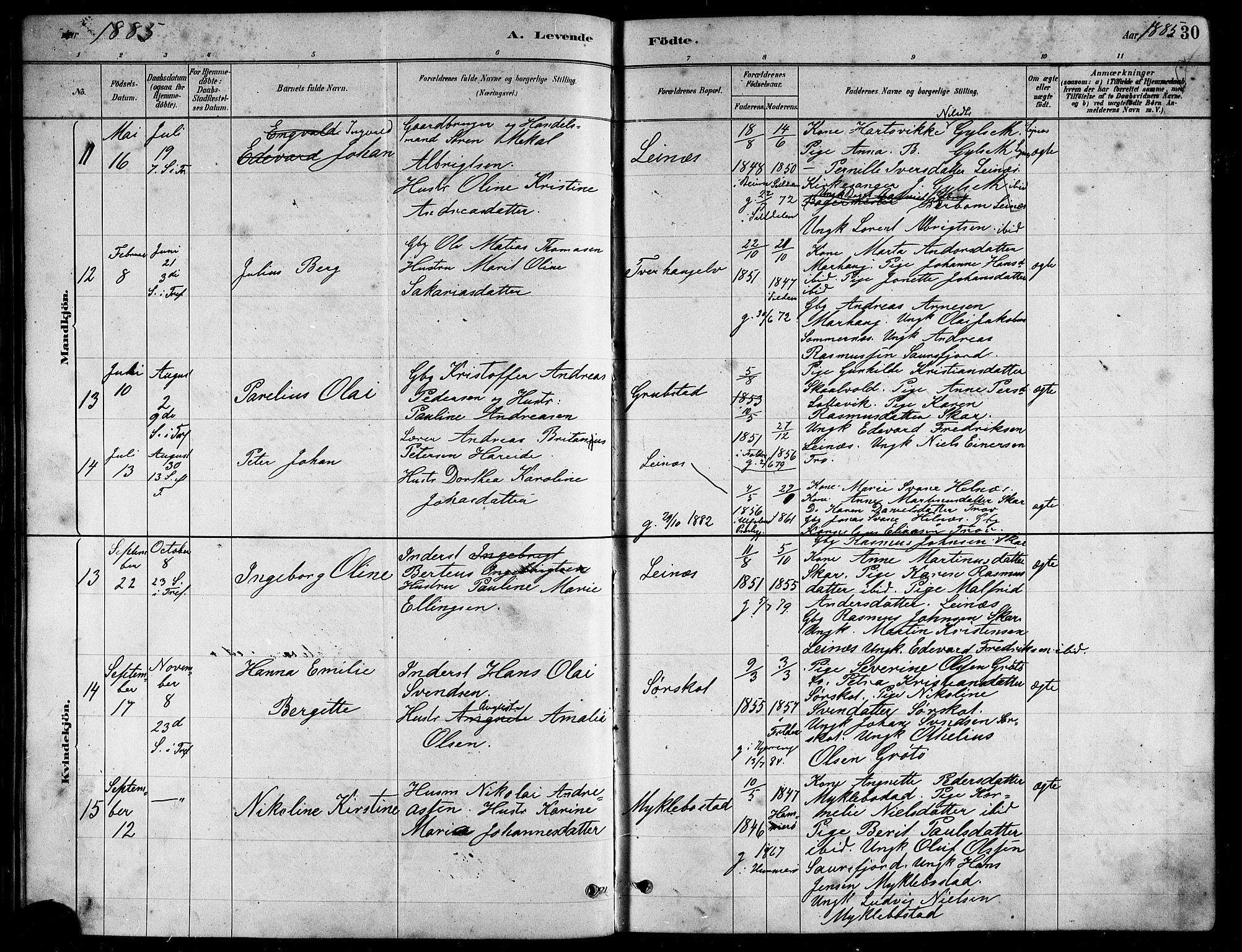 Ministerialprotokoller, klokkerbøker og fødselsregistre - Nordland, AV/SAT-A-1459/857/L0828: Parish register (copy) no. 857C03, 1879-1908, p. 30