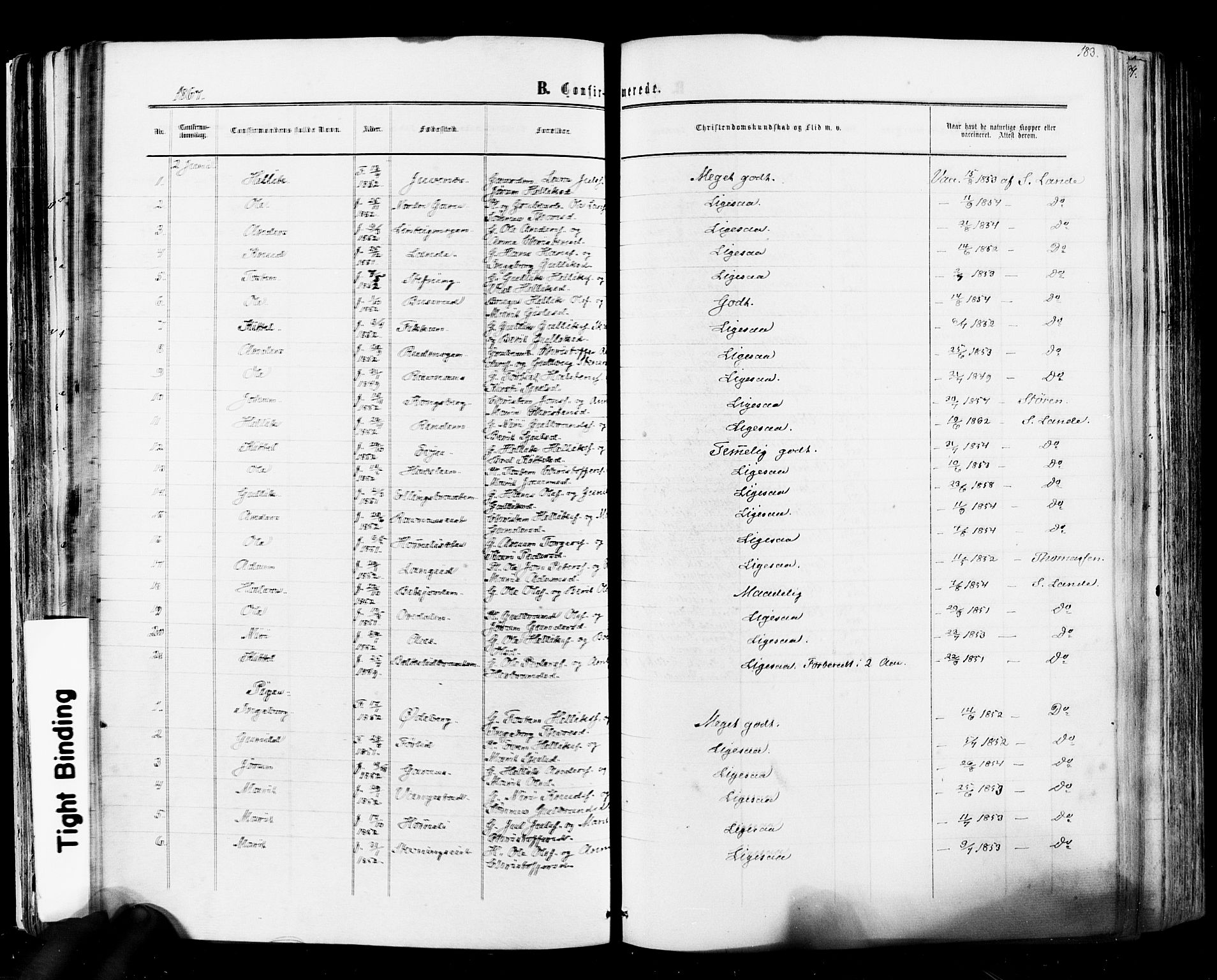 Flesberg kirkebøker, SAKO/A-18/F/Fa/L0007: Parish register (official) no. I 7, 1861-1878, p. 183