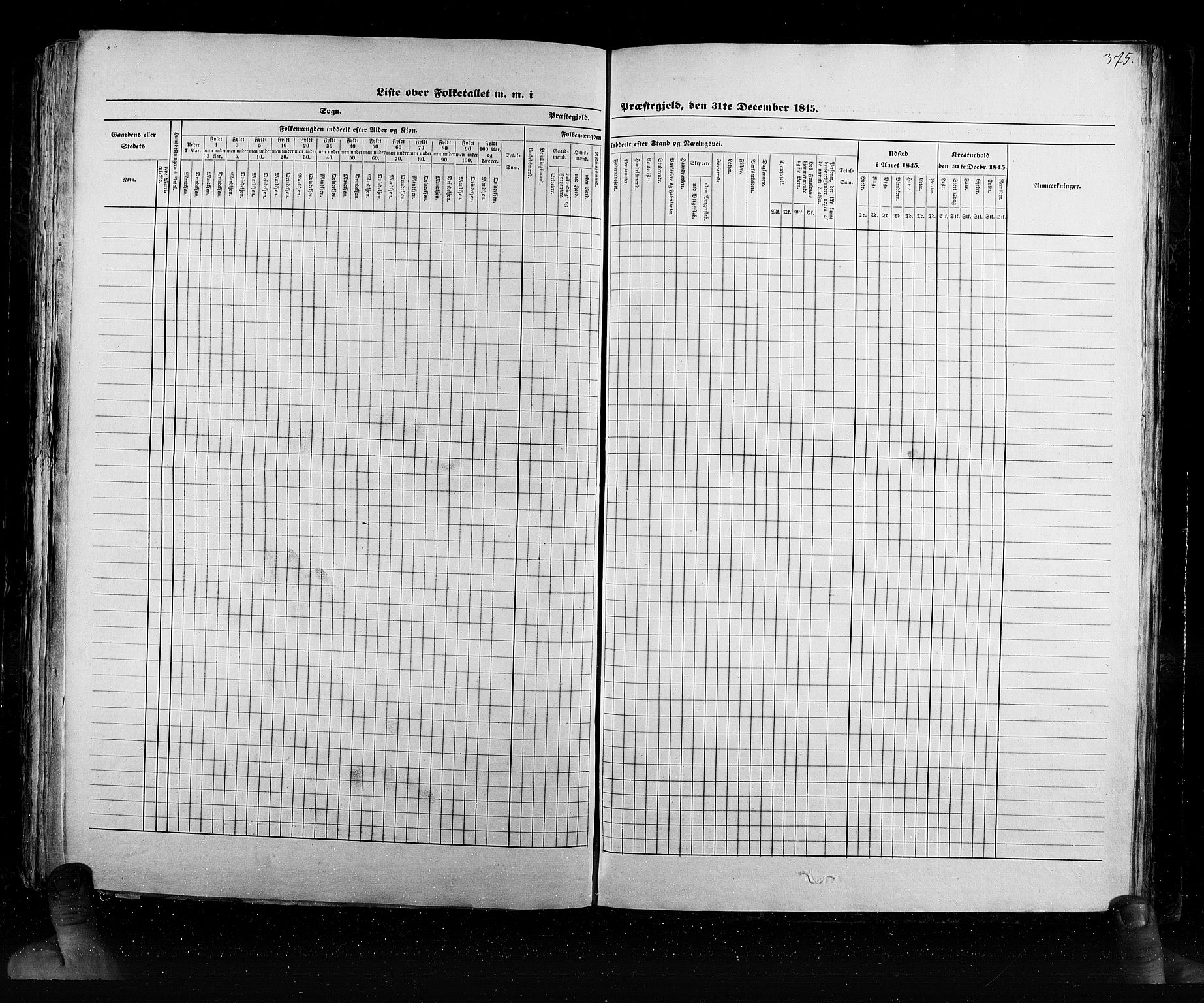 RA, Census 1845, vol. 6: Lister og Mandal amt og Stavanger amt, 1845, p. 375