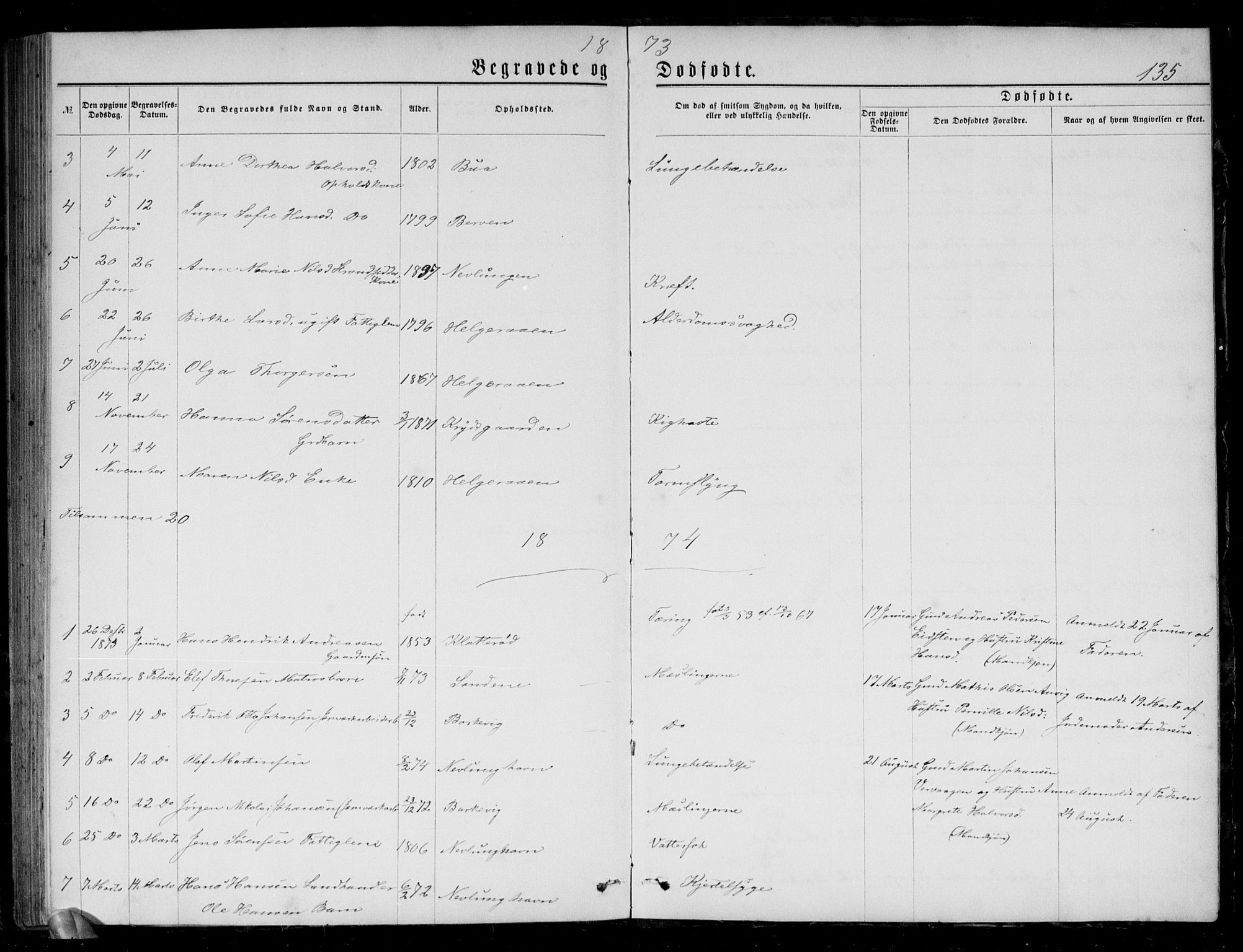 Brunlanes kirkebøker, AV/SAKO-A-342/G/Gb/L0001: Parish register (copy) no. II 1, 1866-1877, p. 135