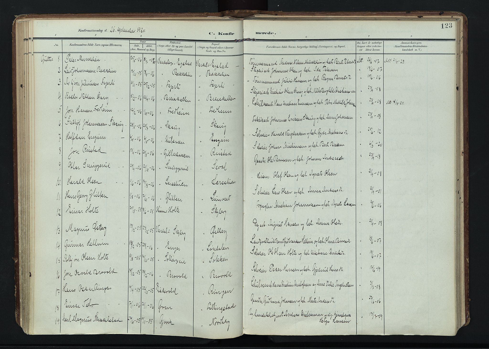 Vardal prestekontor, SAH/PREST-100/H/Ha/Haa/L0020: Parish register (official) no. 20, 1907-1921, p. 123