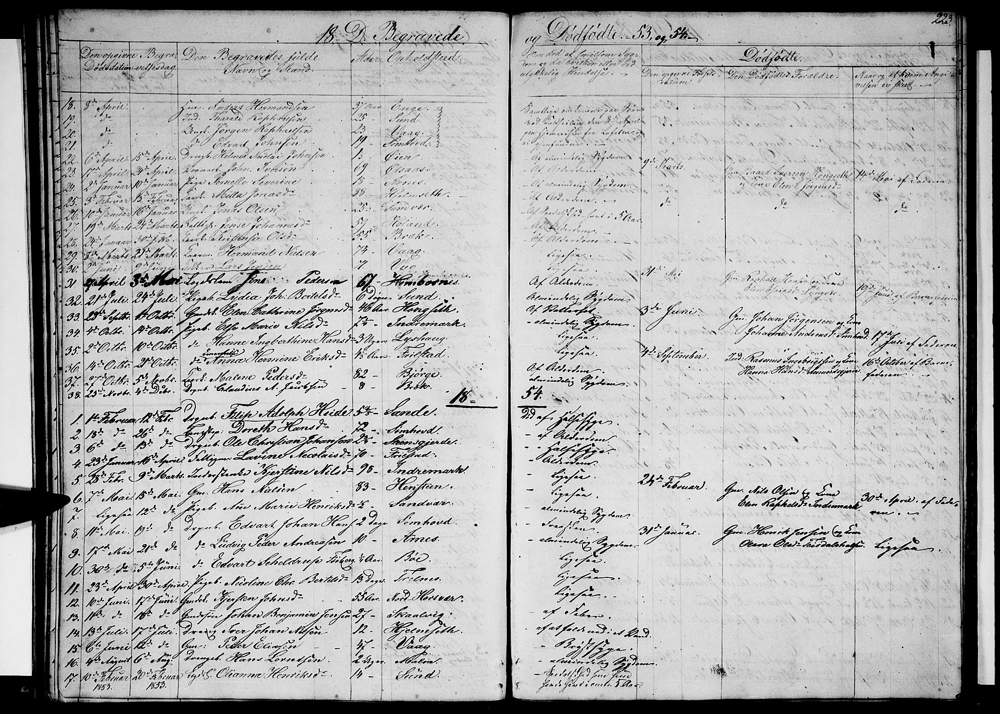 Ministerialprotokoller, klokkerbøker og fødselsregistre - Nordland, SAT/A-1459/812/L0187: Parish register (copy) no. 812C05, 1850-1883, p. 223