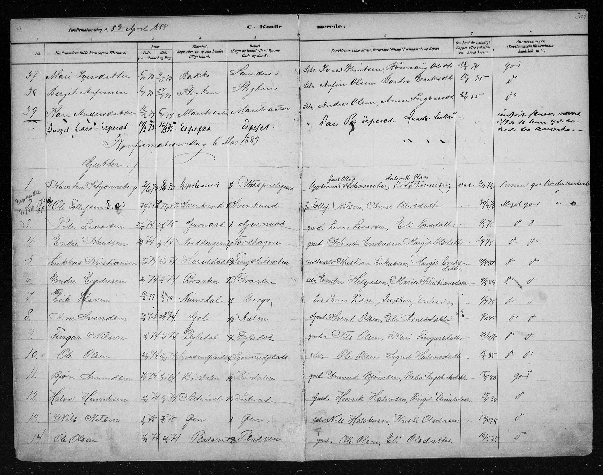 Nes kirkebøker, SAKO/A-236/F/Fa/L0011: Parish register (official) no. 11, 1881-1912, p. 205