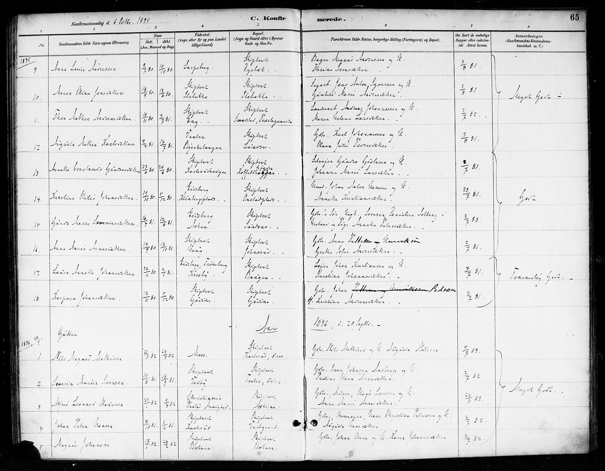 Skiptvet prestekontor Kirkebøker, SAO/A-20009/F/Fa/L0010: Parish register (official) no. 10, 1890-1900, p. 65