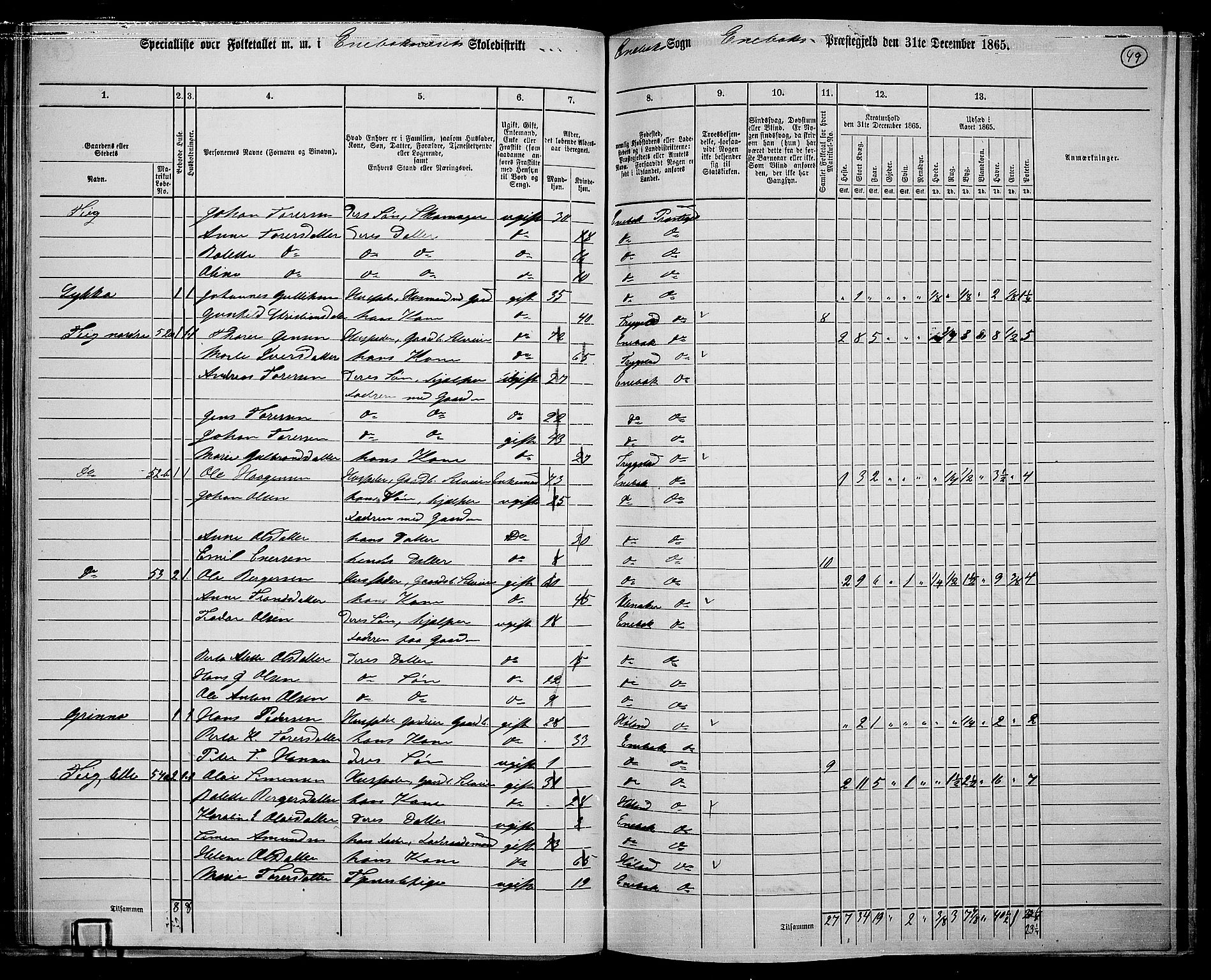 RA, 1865 census for Enebakk, 1865, p. 46