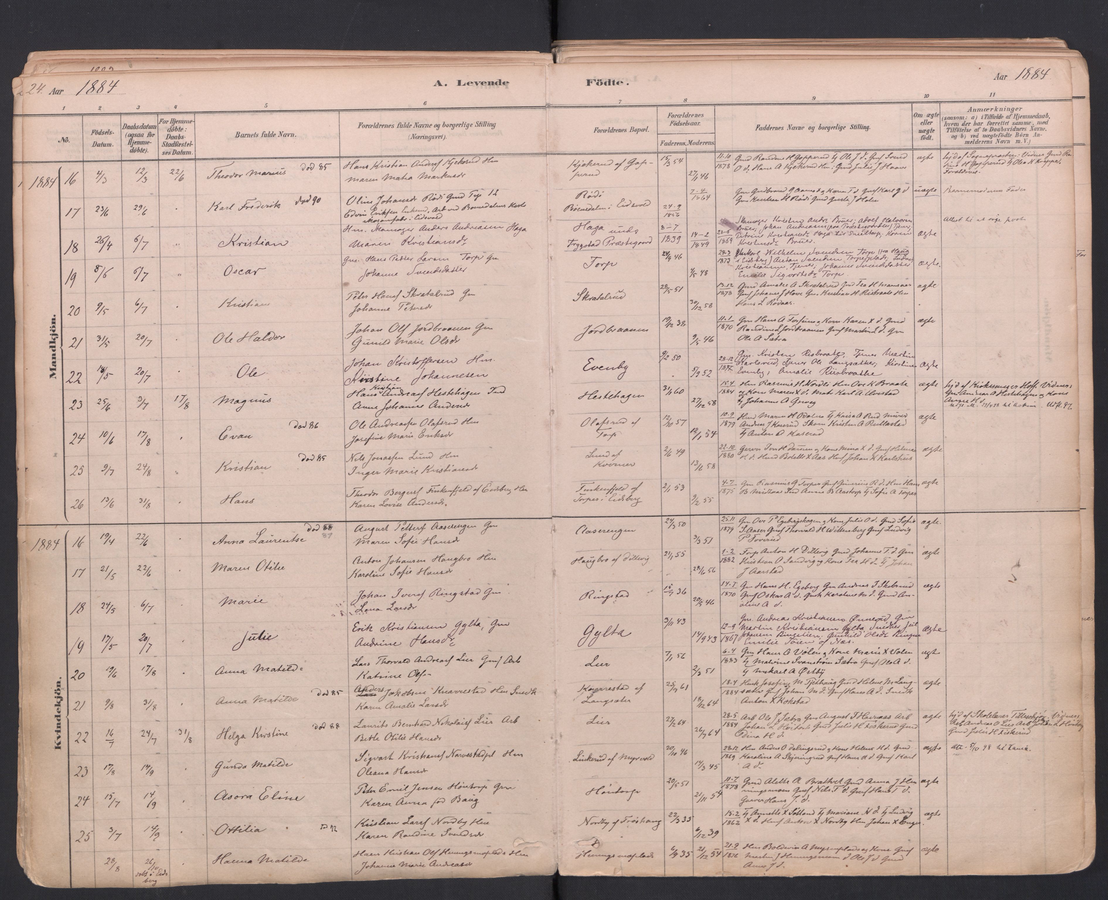Trøgstad prestekontor Kirkebøker, SAO/A-10925/F/Fa/L0010: Parish register (official) no. I 10, 1878-1898, p. 24