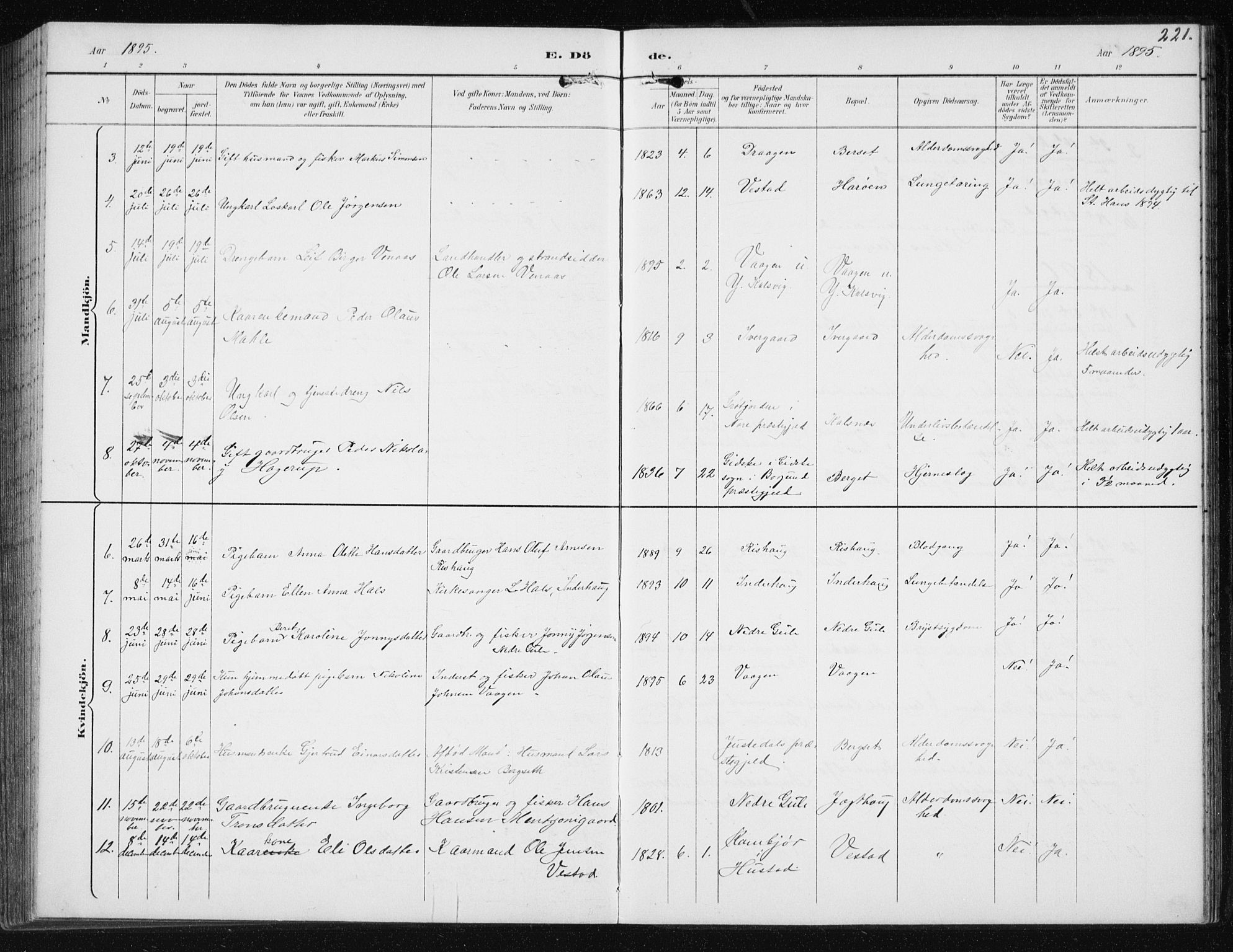 Ministerialprotokoller, klokkerbøker og fødselsregistre - Møre og Romsdal, AV/SAT-A-1454/566/L0773: Parish register (copy) no. 566C02, 1892-1909, p. 221