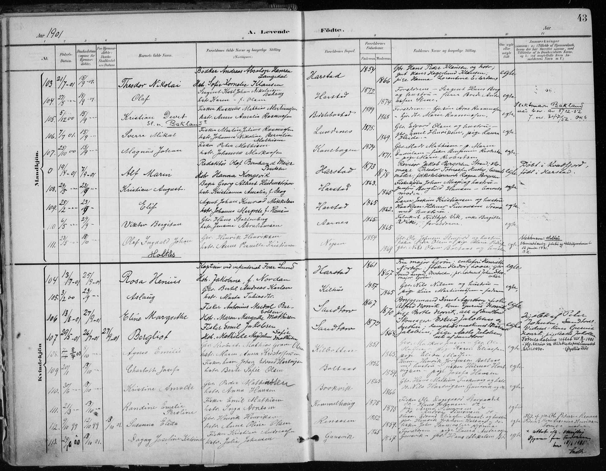 Trondenes sokneprestkontor, AV/SATØ-S-1319/H/Ha/L0017kirke: Parish register (official) no. 17, 1899-1908, p. 43