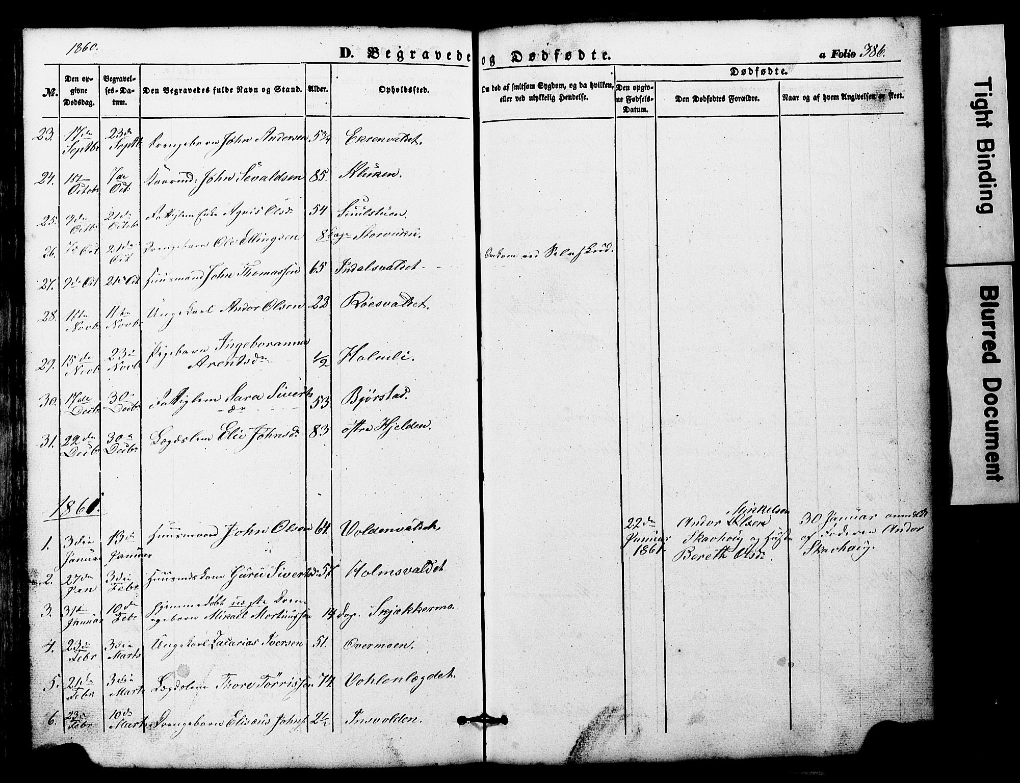 Ministerialprotokoller, klokkerbøker og fødselsregistre - Nord-Trøndelag, AV/SAT-A-1458/724/L0268: Parish register (copy) no. 724C04, 1846-1878, p. 386