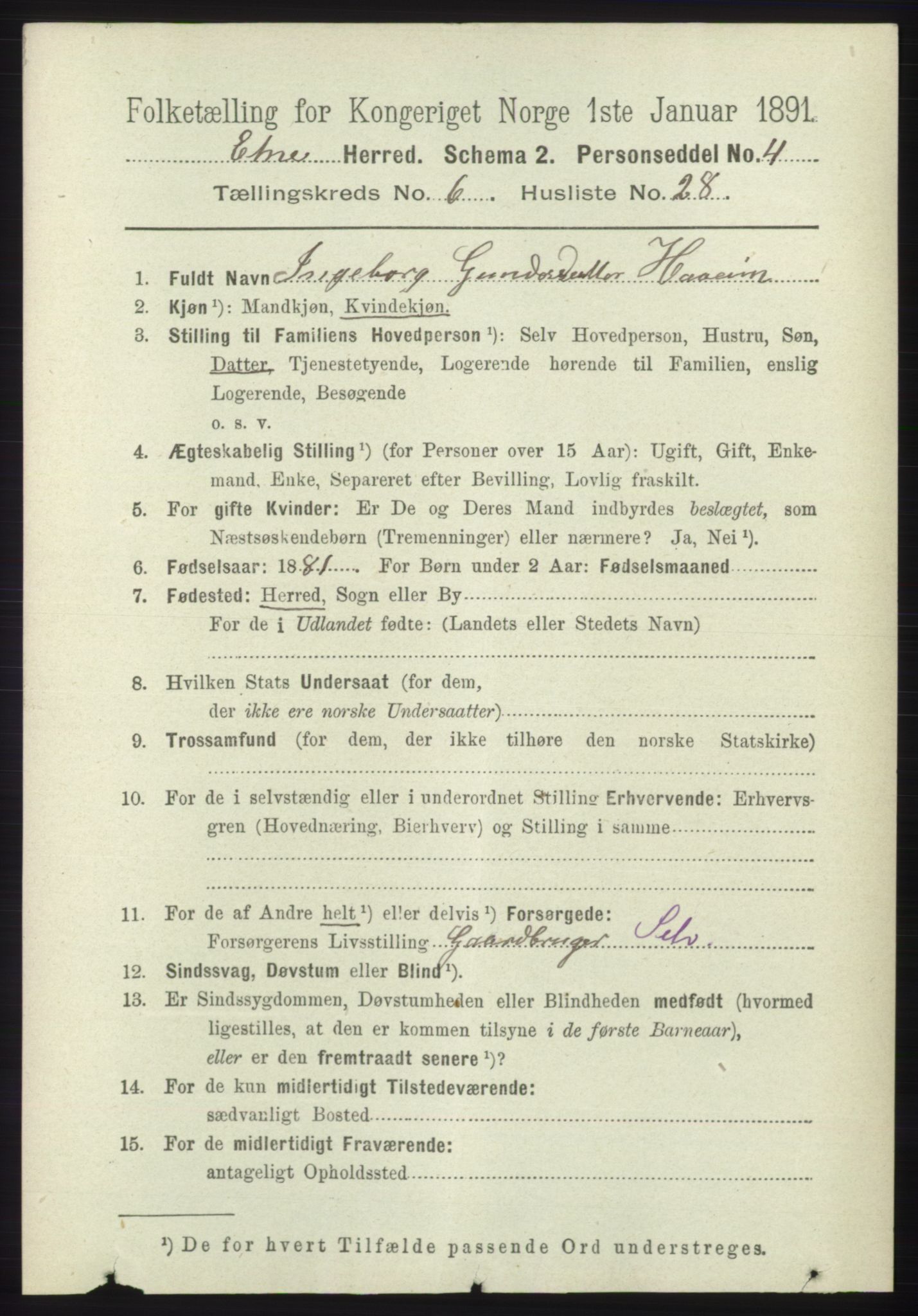 RA, 1891 census for 1211 Etne, 1891, p. 1347