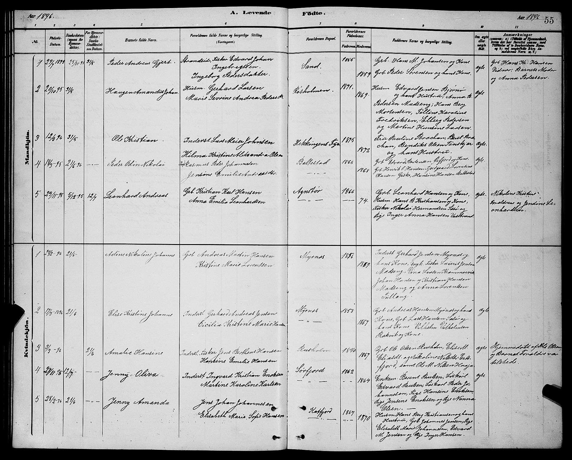 Lenvik sokneprestembete, SATØ/S-1310/H/Ha/Hab/L0021klokker: Parish register (copy) no. 21, 1884-1900, p. 55