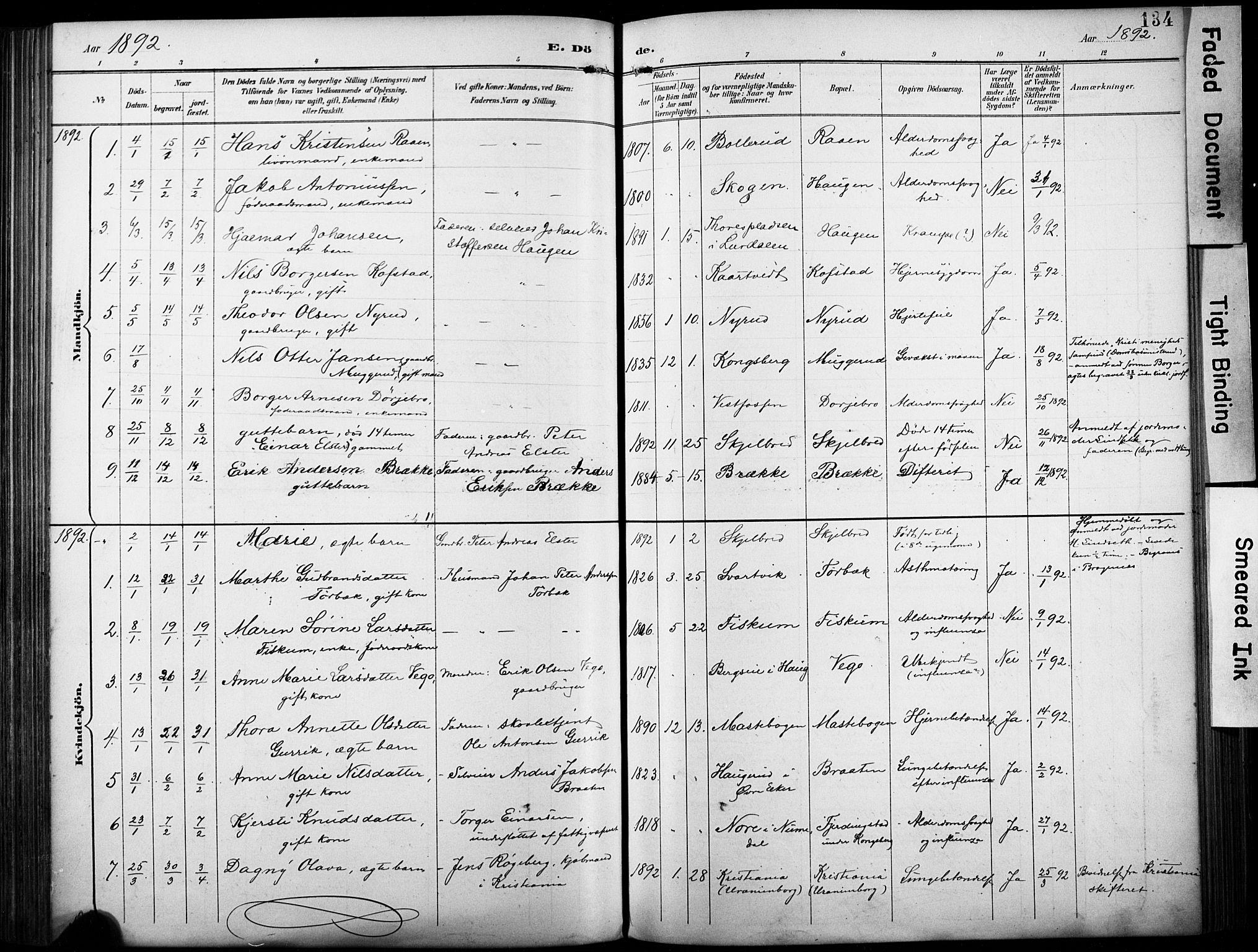 Fiskum kirkebøker, AV/SAKO-A-15/F/Fa/L0003: Parish register (official) no. 3, 1890-1905, p. 134