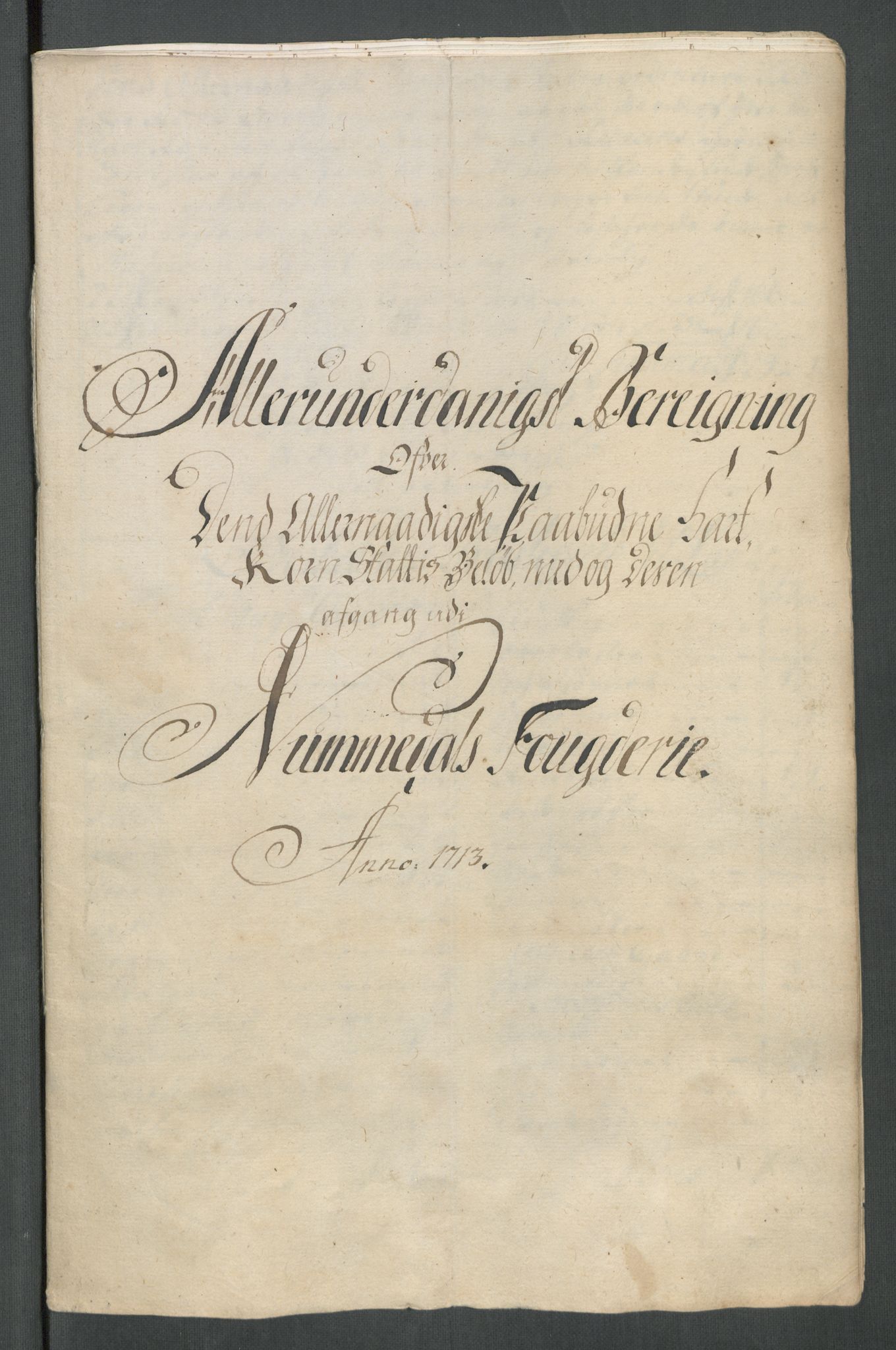 Rentekammeret inntil 1814, Reviderte regnskaper, Fogderegnskap, AV/RA-EA-4092/R64/L4434: Fogderegnskap Namdal, 1713, p. 151