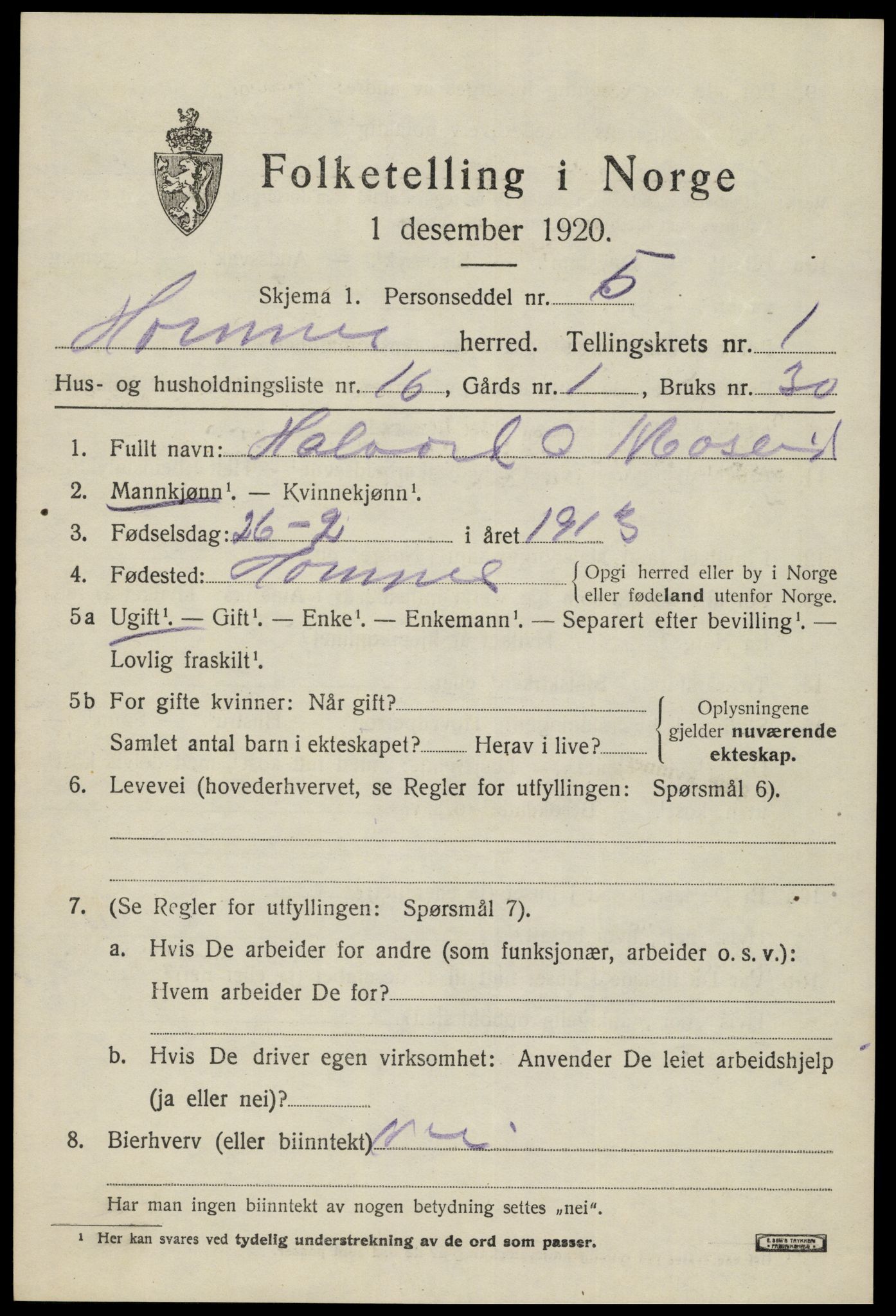 SAK, 1920 census for Hornnes, 1920, p. 695