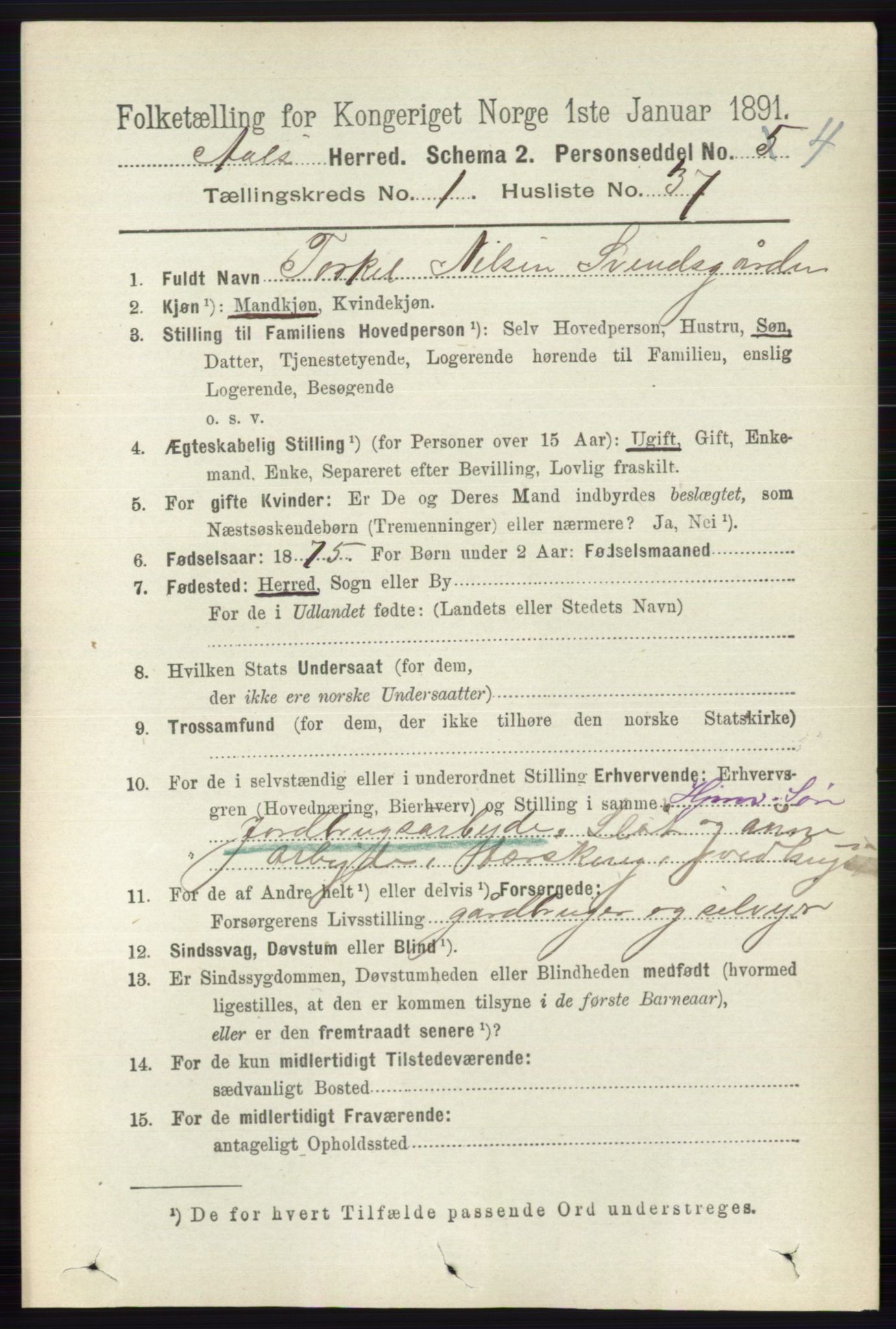 RA, 1891 census for 0619 Ål, 1891, p. 257