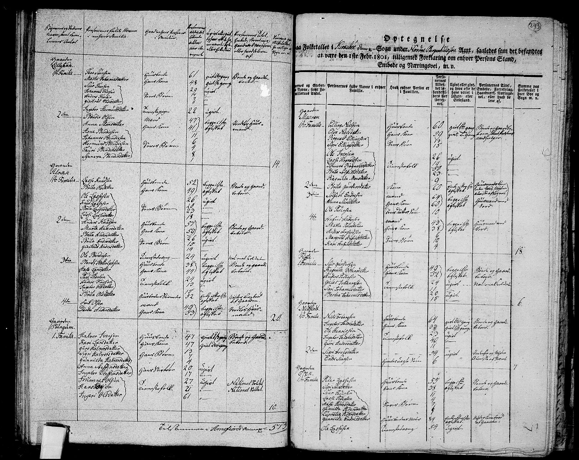 RA, 1801 census for 1417P Vik, 1801, p. 242b-243a