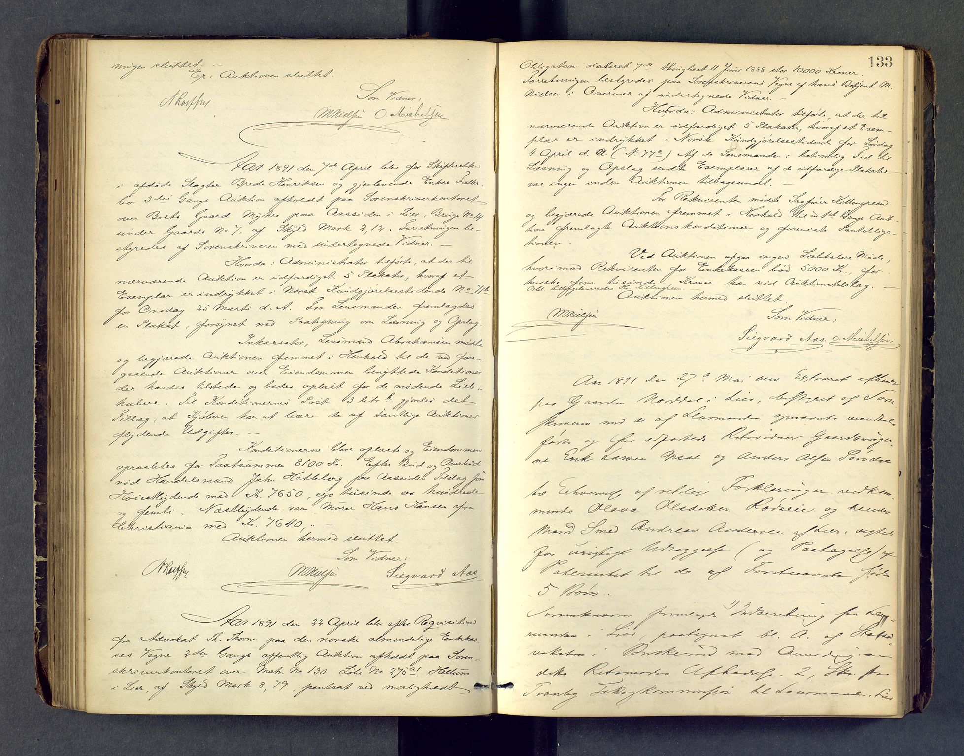 Lier, Røyken og Hurum sorenskriveri, SAKO/A-89/F/Fc/Fcb/L0004: Ekstrarettsprotokoll, 1889-1897, p. 133