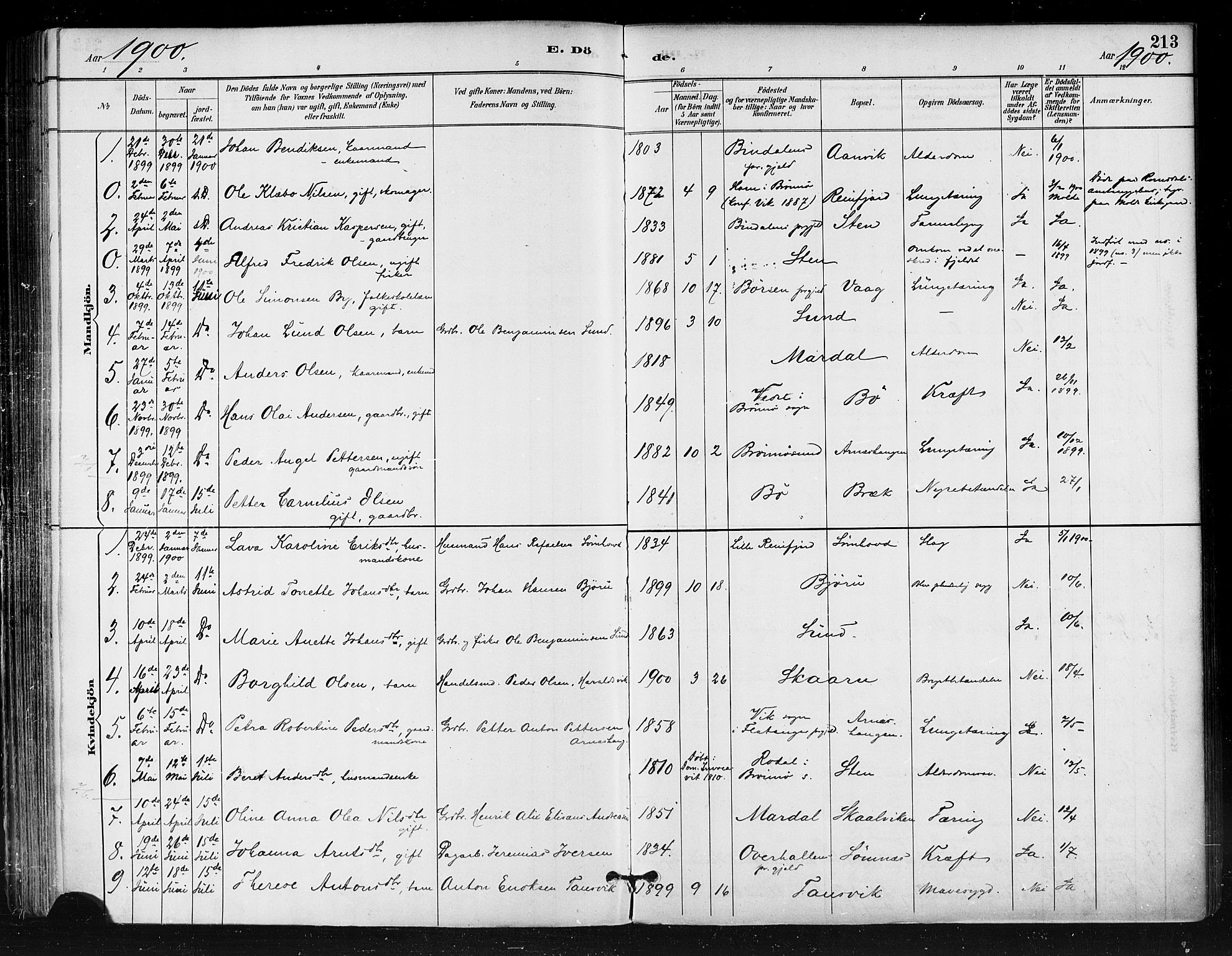 Ministerialprotokoller, klokkerbøker og fødselsregistre - Nordland, AV/SAT-A-1459/812/L0178: Parish register (official) no. 812A07, 1886-1900, p. 213