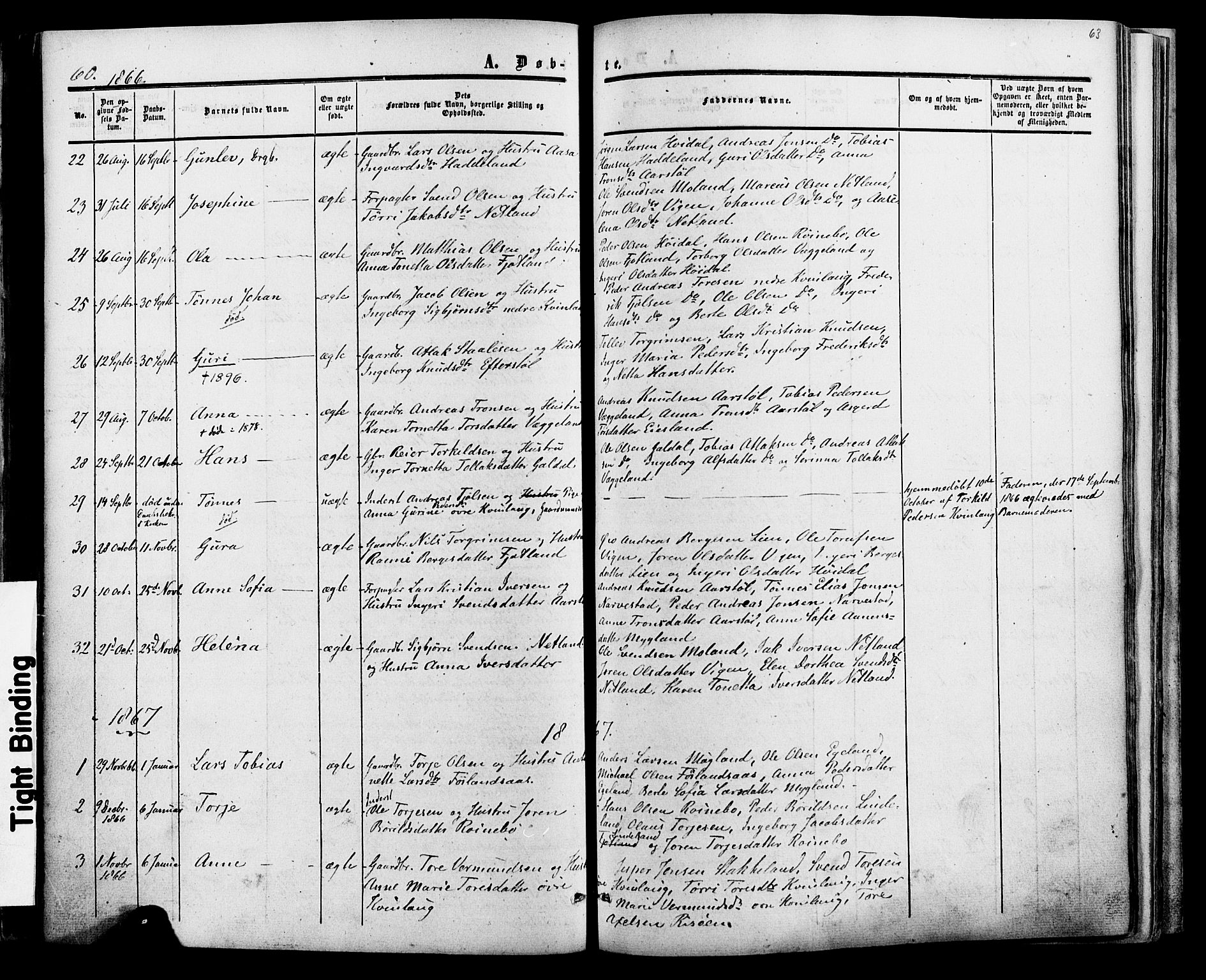 Fjotland sokneprestkontor, AV/SAK-1111-0010/F/Fa/L0001: Parish register (official) no. A 1, 1850-1879, p. 63