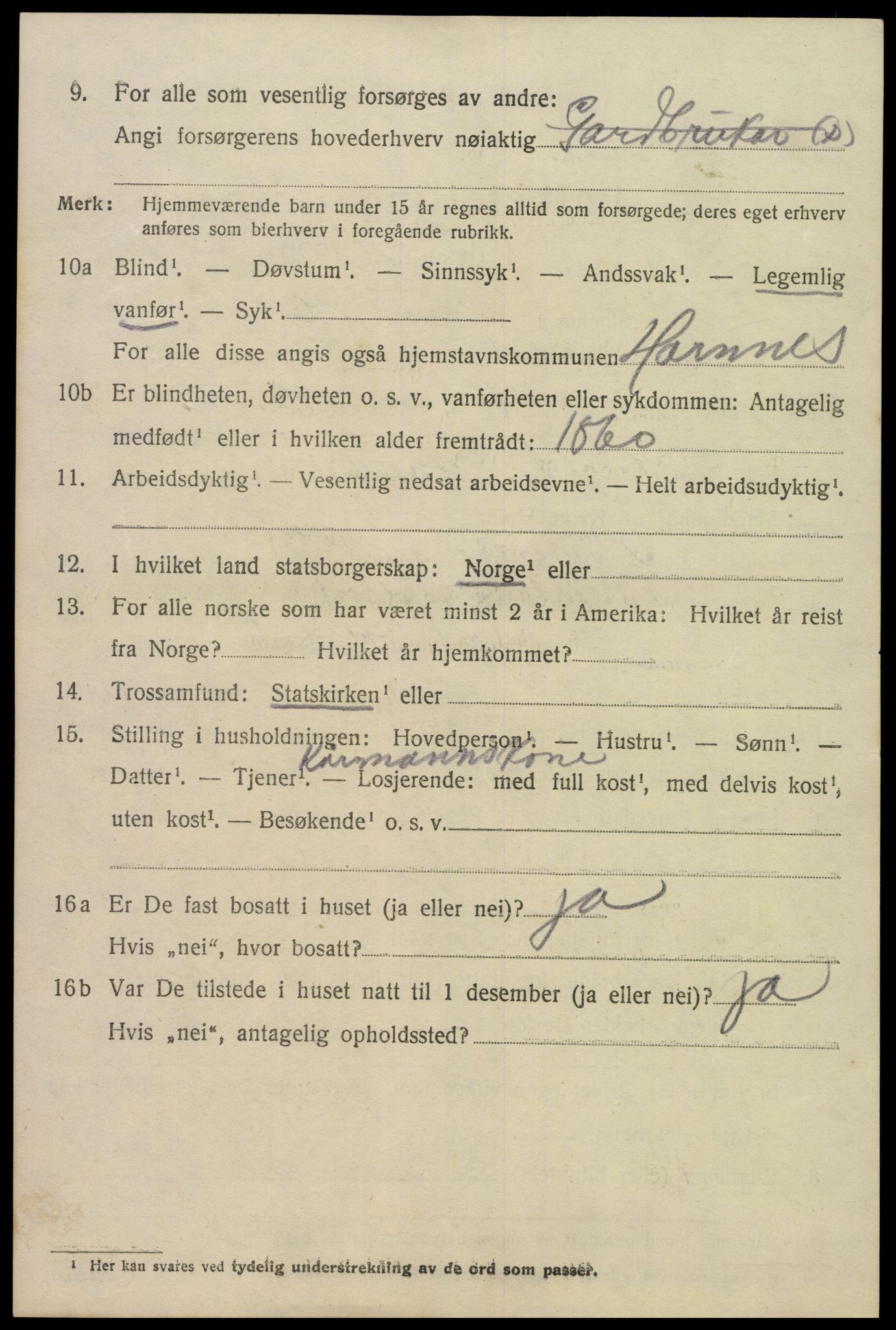 SAK, 1920 census for Hornnes, 1920, p. 3102