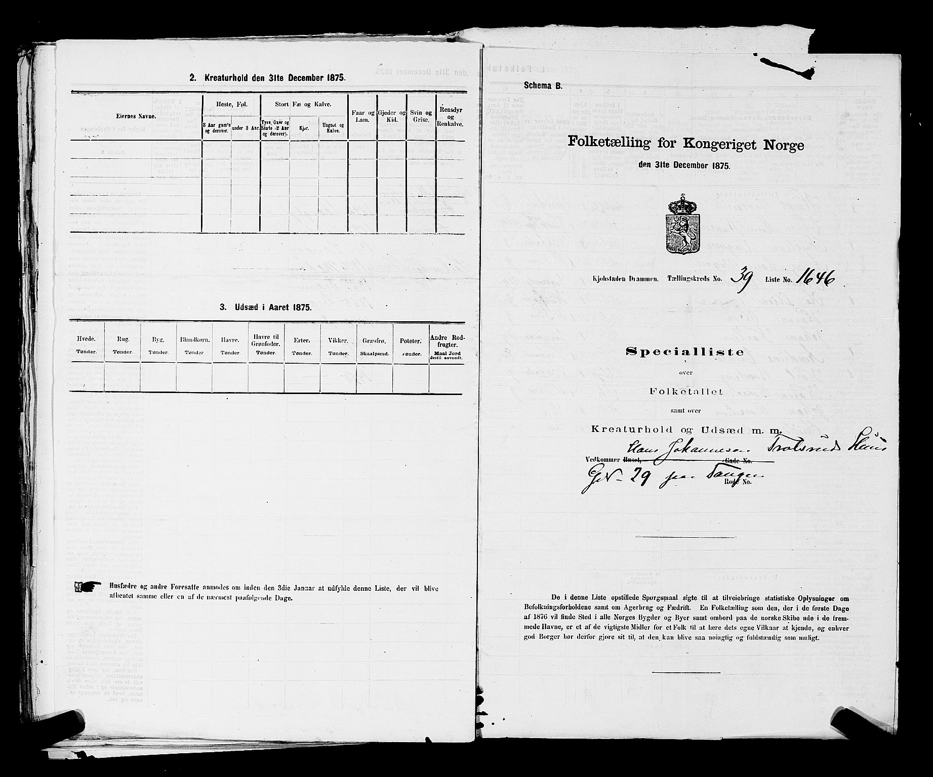 SAKO, 1875 census for 0602 Drammen, 1875, p. 3371