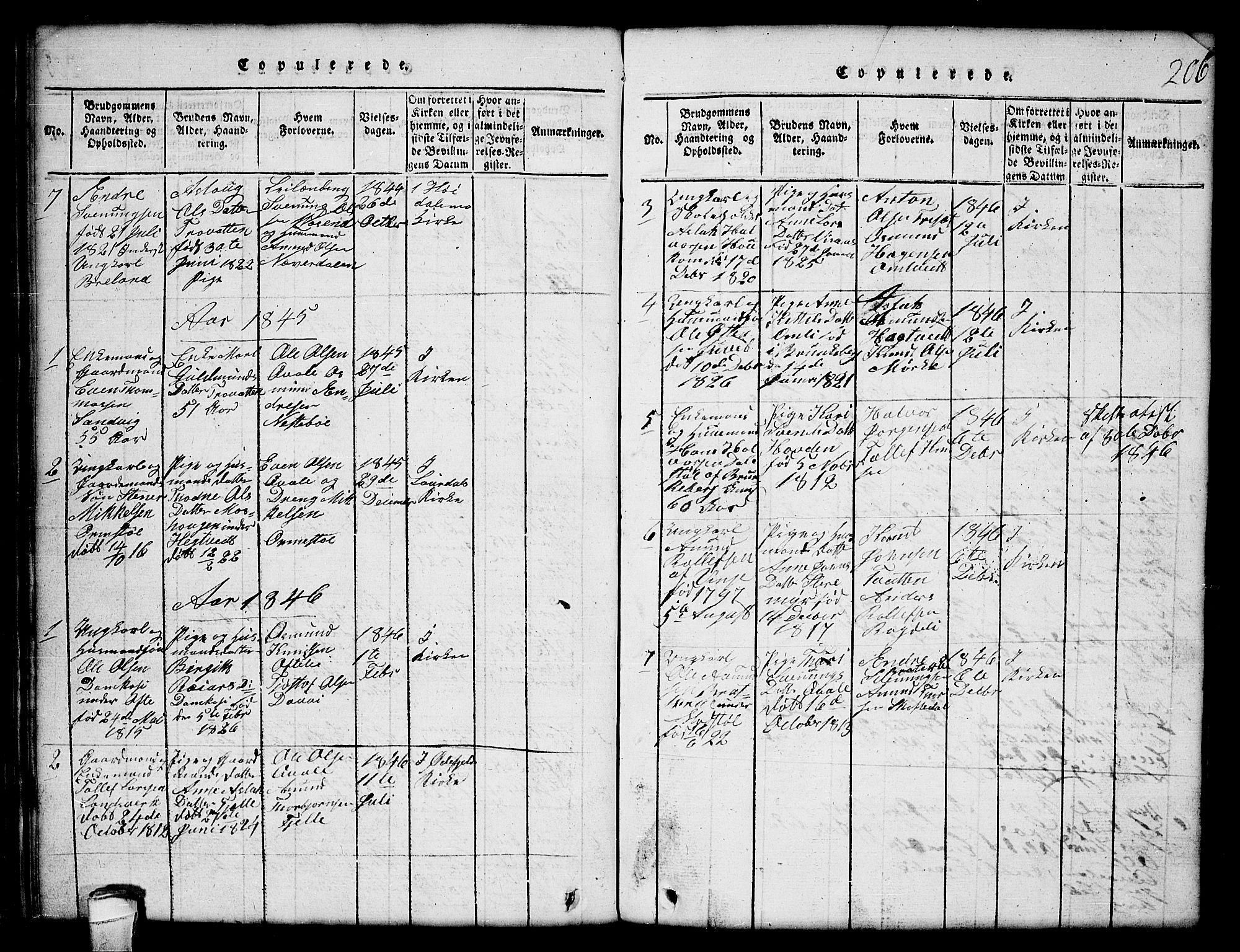 Lårdal kirkebøker, SAKO/A-284/G/Gc/L0001: Parish register (copy) no. III 1, 1815-1854, p. 206