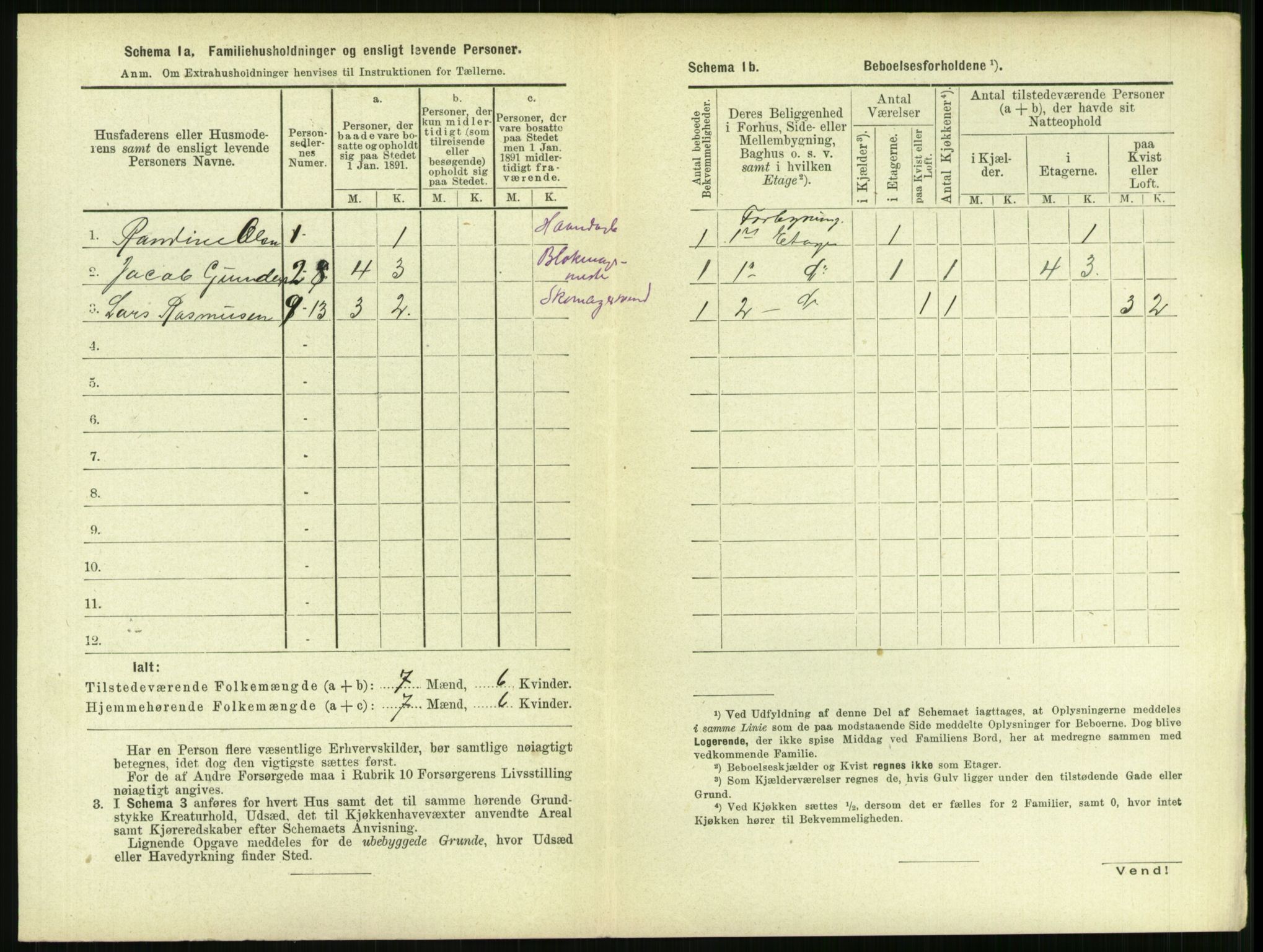 RA, 1891 census for 1106 Haugesund, 1891, p. 1007